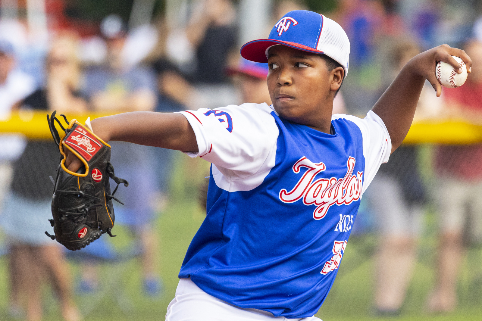 Michigan Little League State Championship 2022