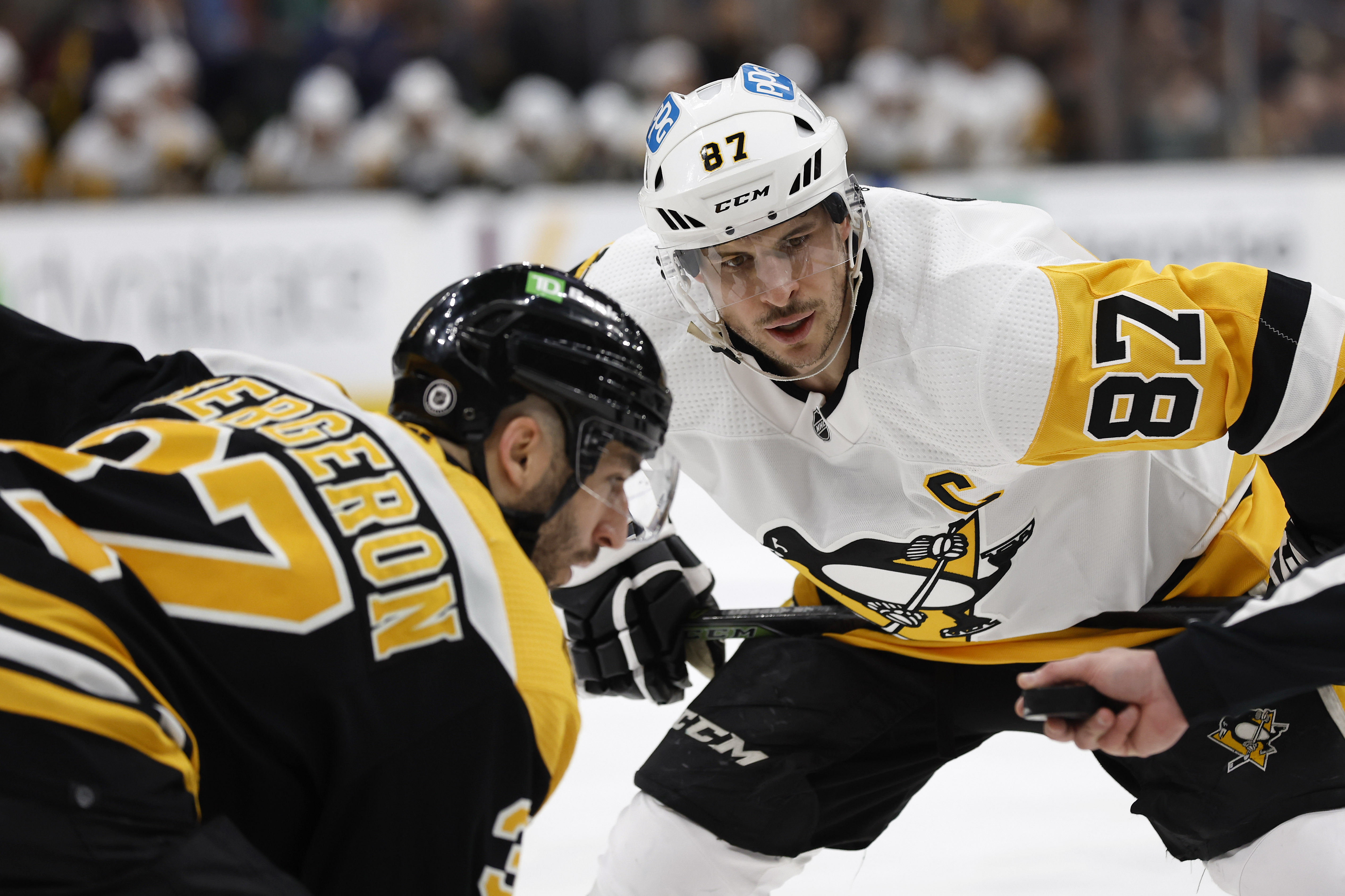 No one matters more to Penguins than Tristan Jarry, Alex Nedeljkovic