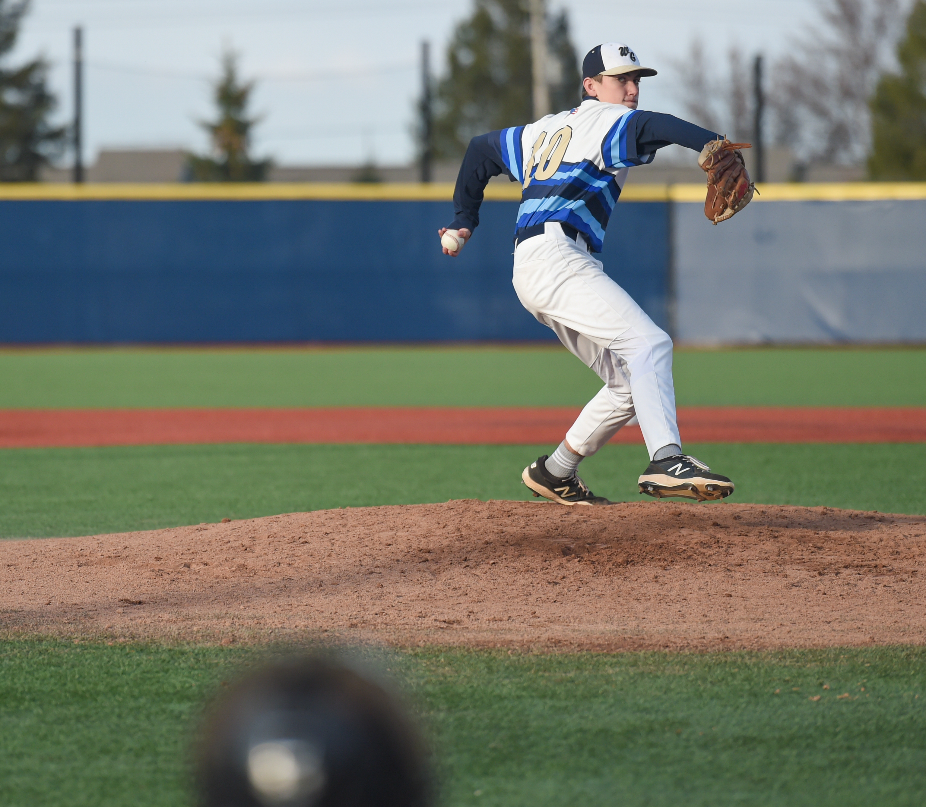 Phoenix in College/Pros - McMichael Baseball