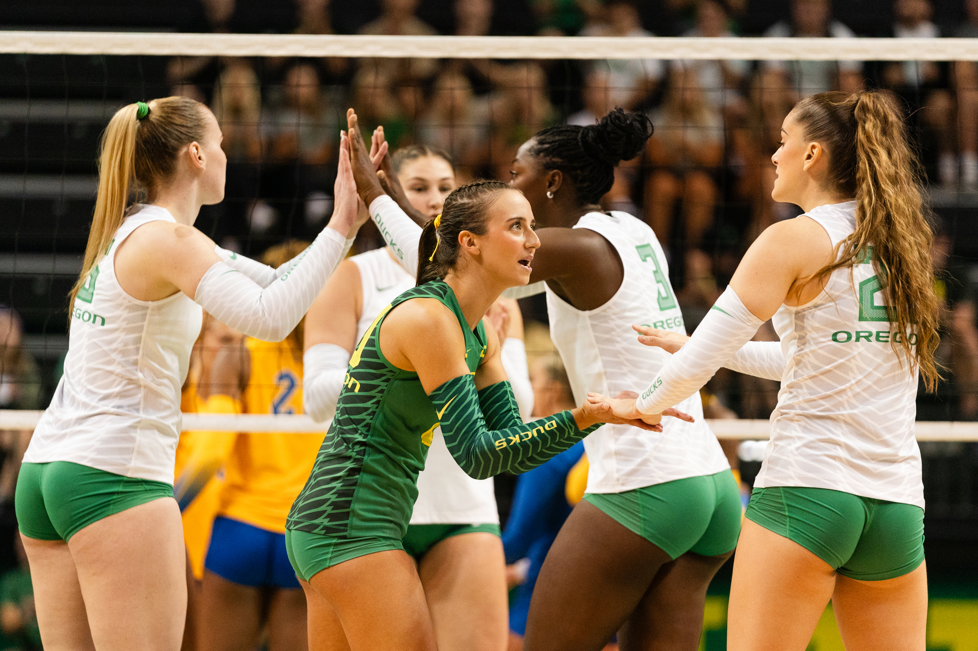 No. 10 Oregon volleyball vs. No. 10 Pitt in season opener - oregonlive.com