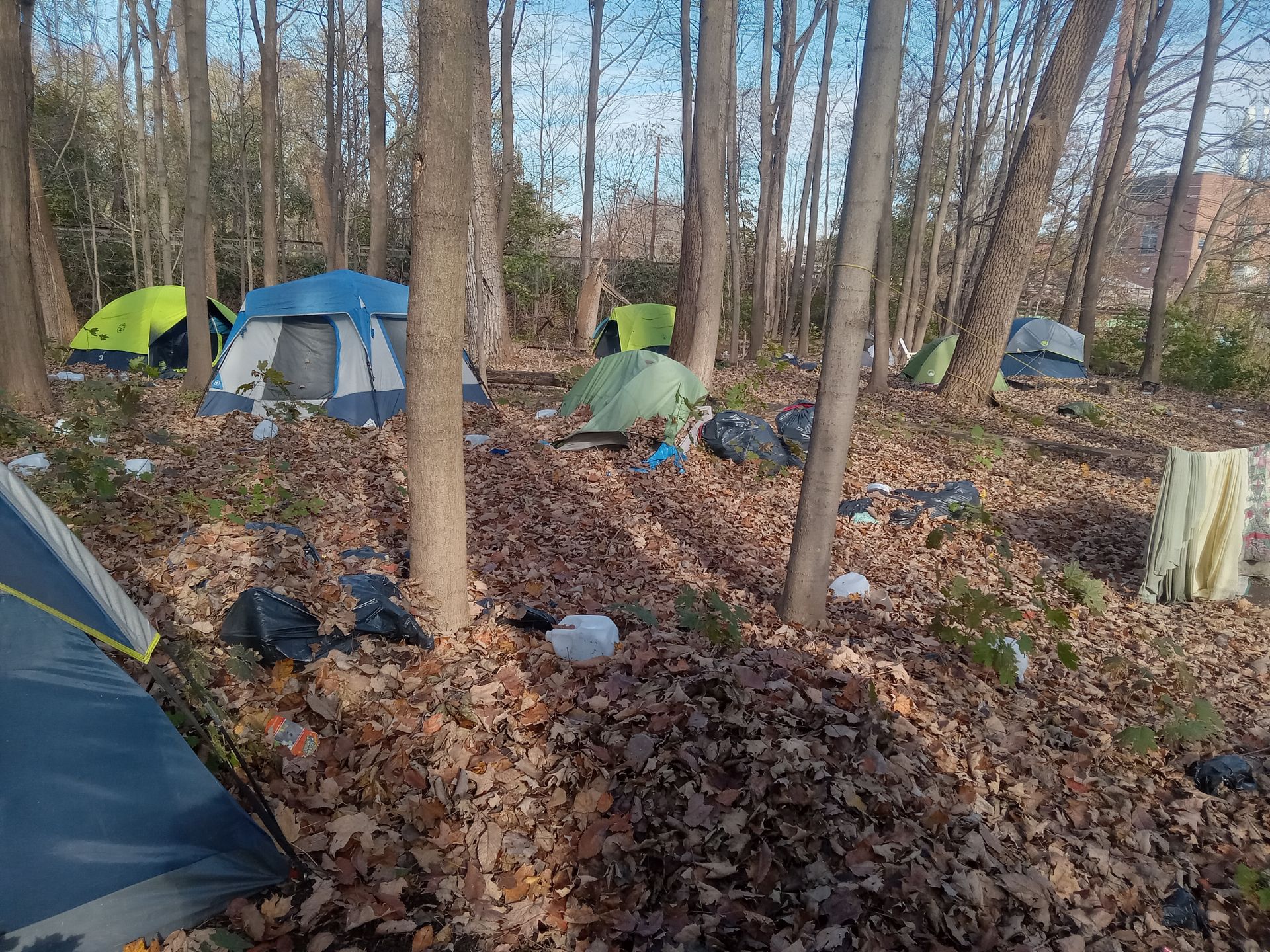 Northampton homeless encampment concerns neighbors as Mass. shelters reach capacity News 413