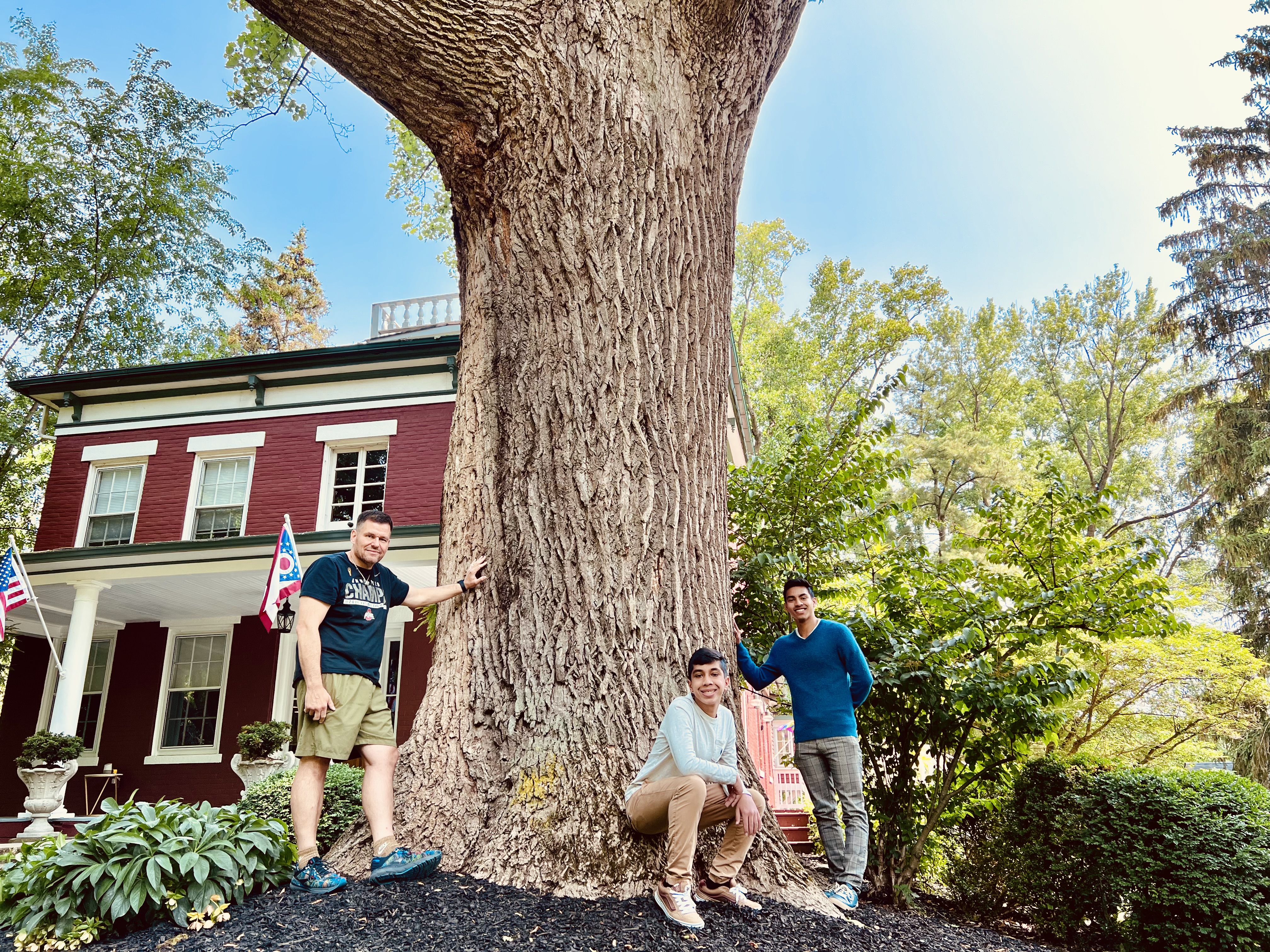 Towering tulip tree is a true titan on Berea's South Rocky River