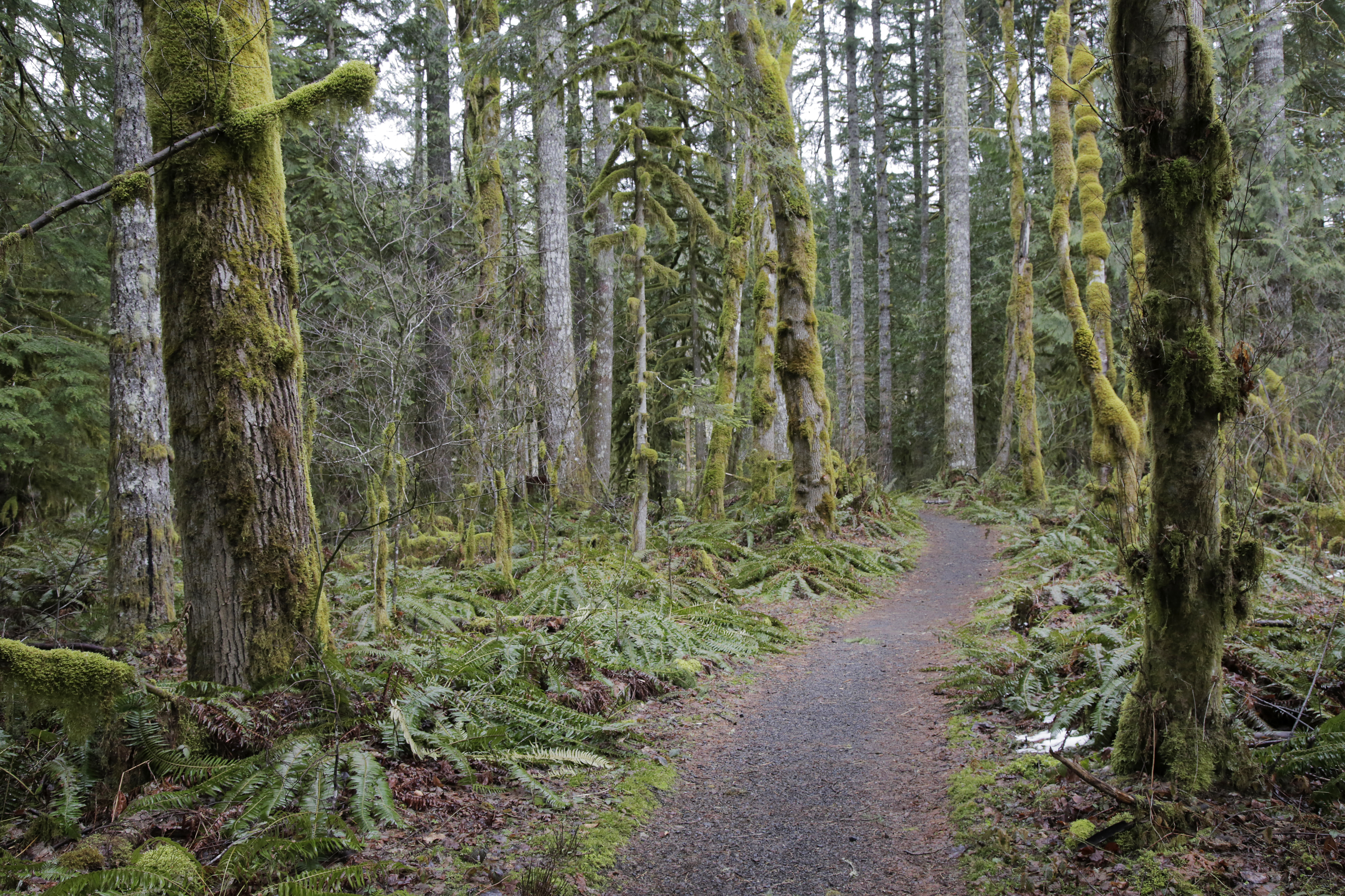 Find accessible trails, outdoor attractions at Wildwood Recreation