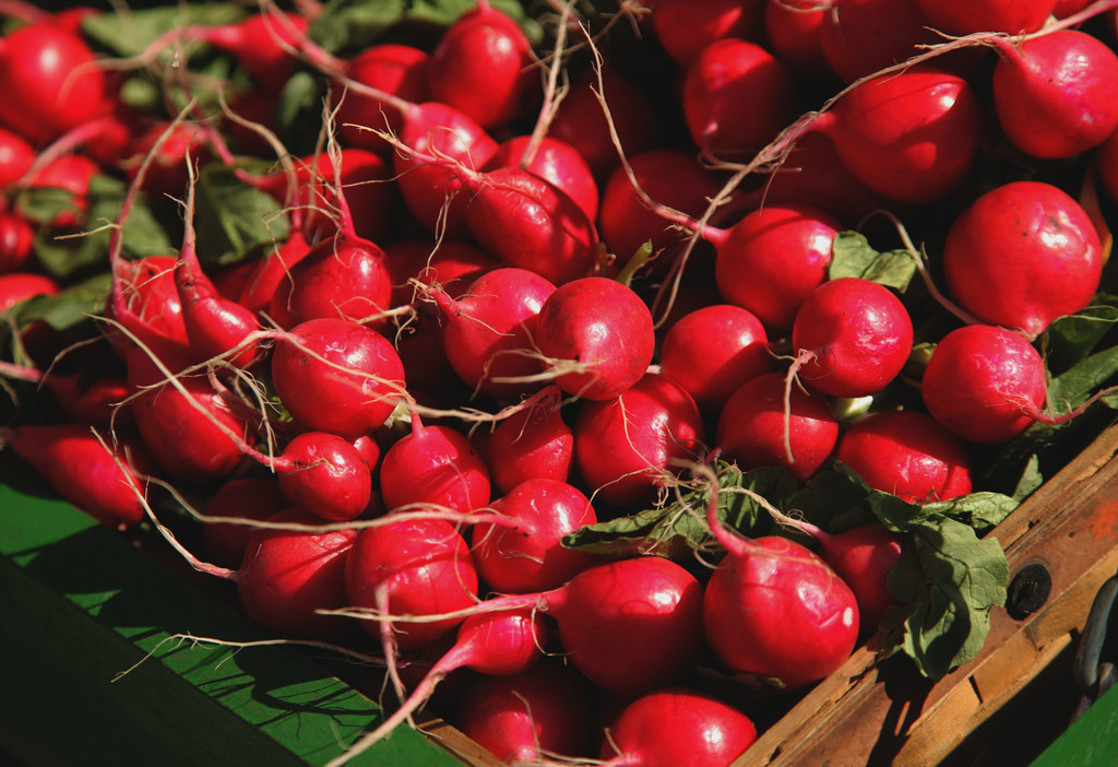 radishes