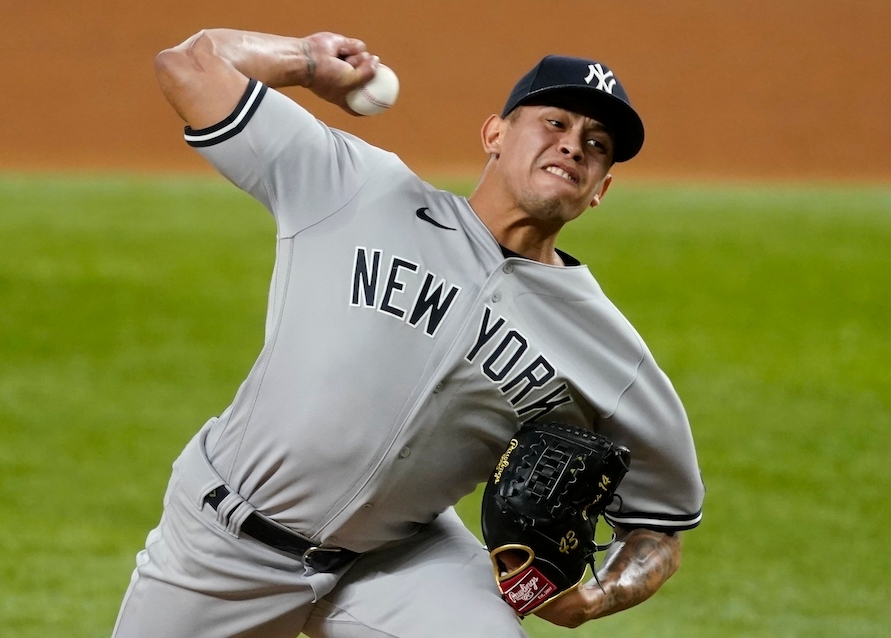 New York Yankees Jonathan Loaisiga Fanatics Authentic Game