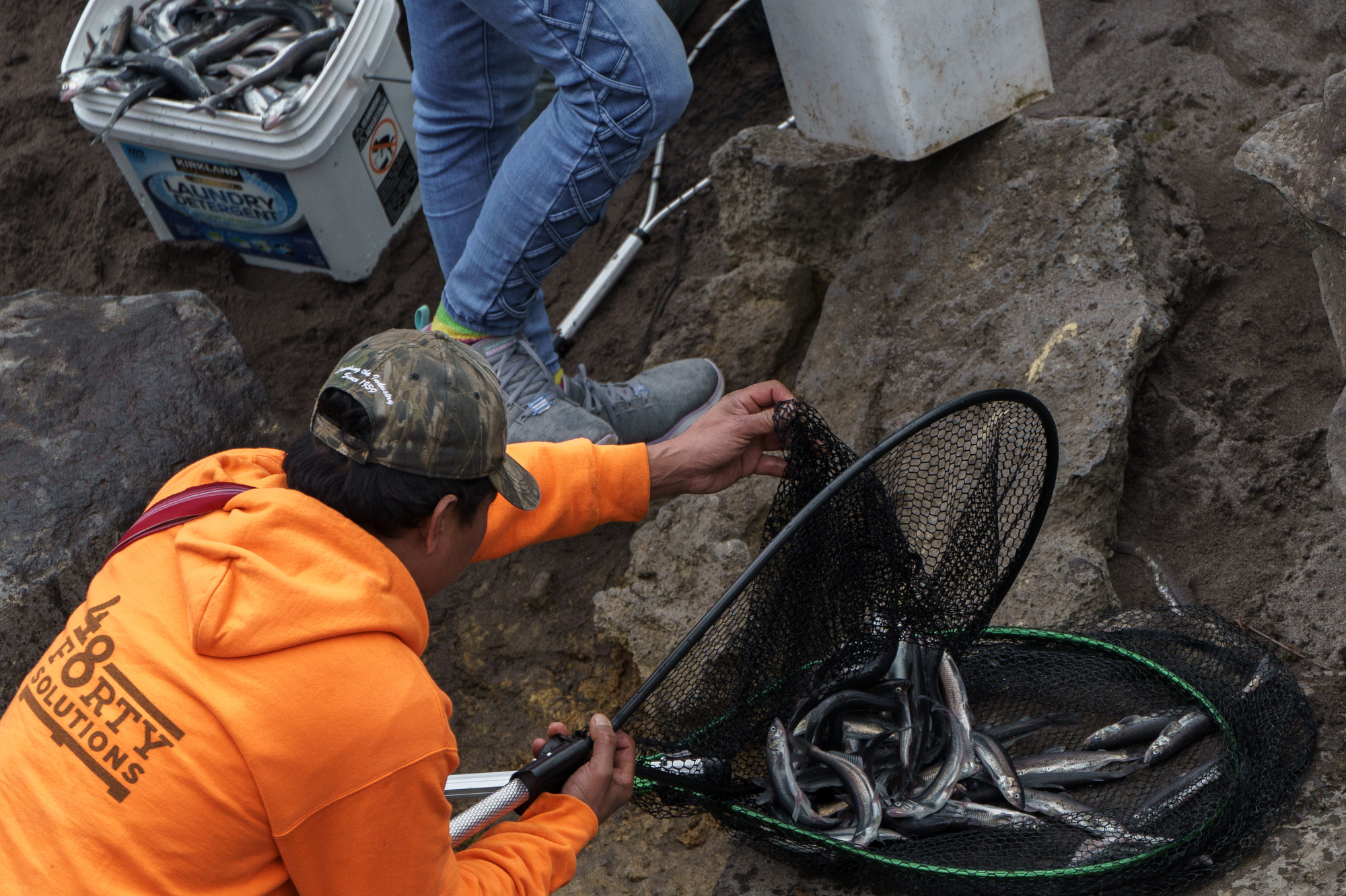 Smelt dipping returns to the lower Sandy River