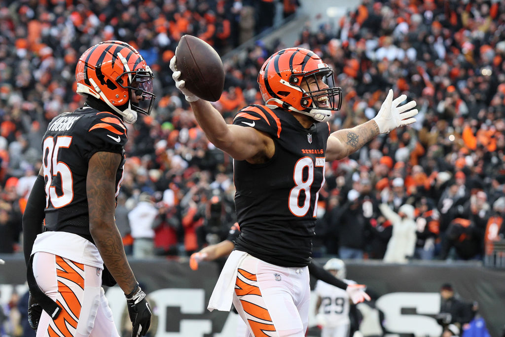 How to buy Bengals-Titans playoff tickets: Date, time, location for AFC  Divisional Round game 