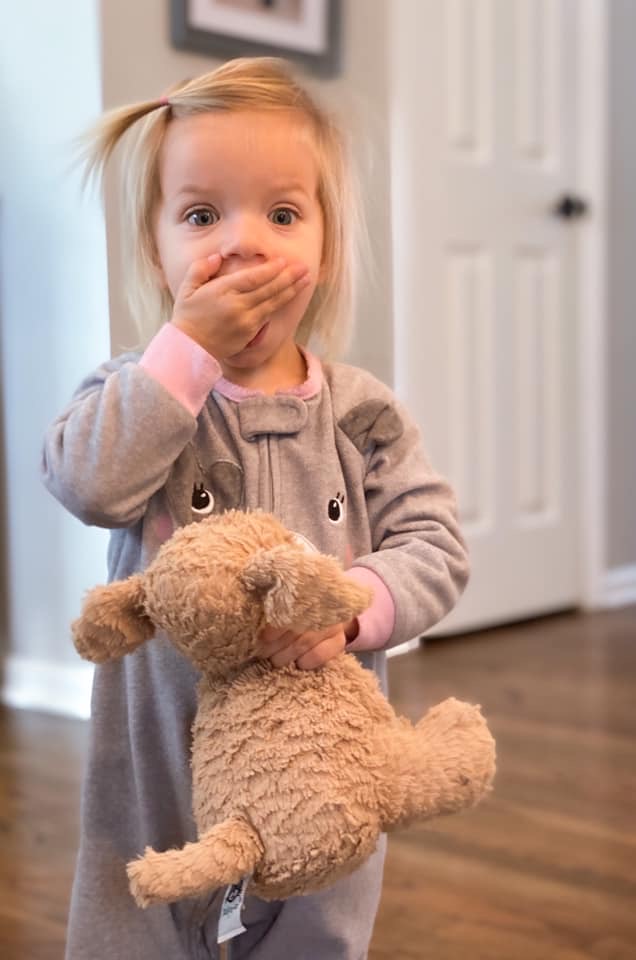 Ruff Ruff the lost dog