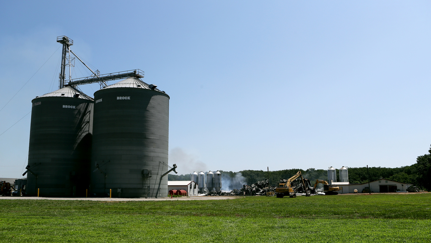 Nearly 300 000 Chickens Killed In Egg Farm Fire See The Aftermath Photos Nj Com