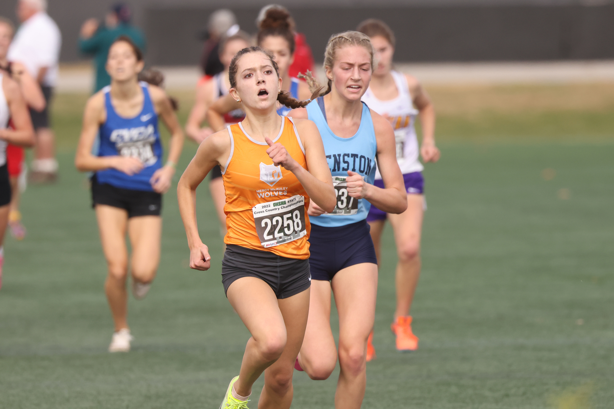 Division II Ohio High School Cross Country Championships 2022