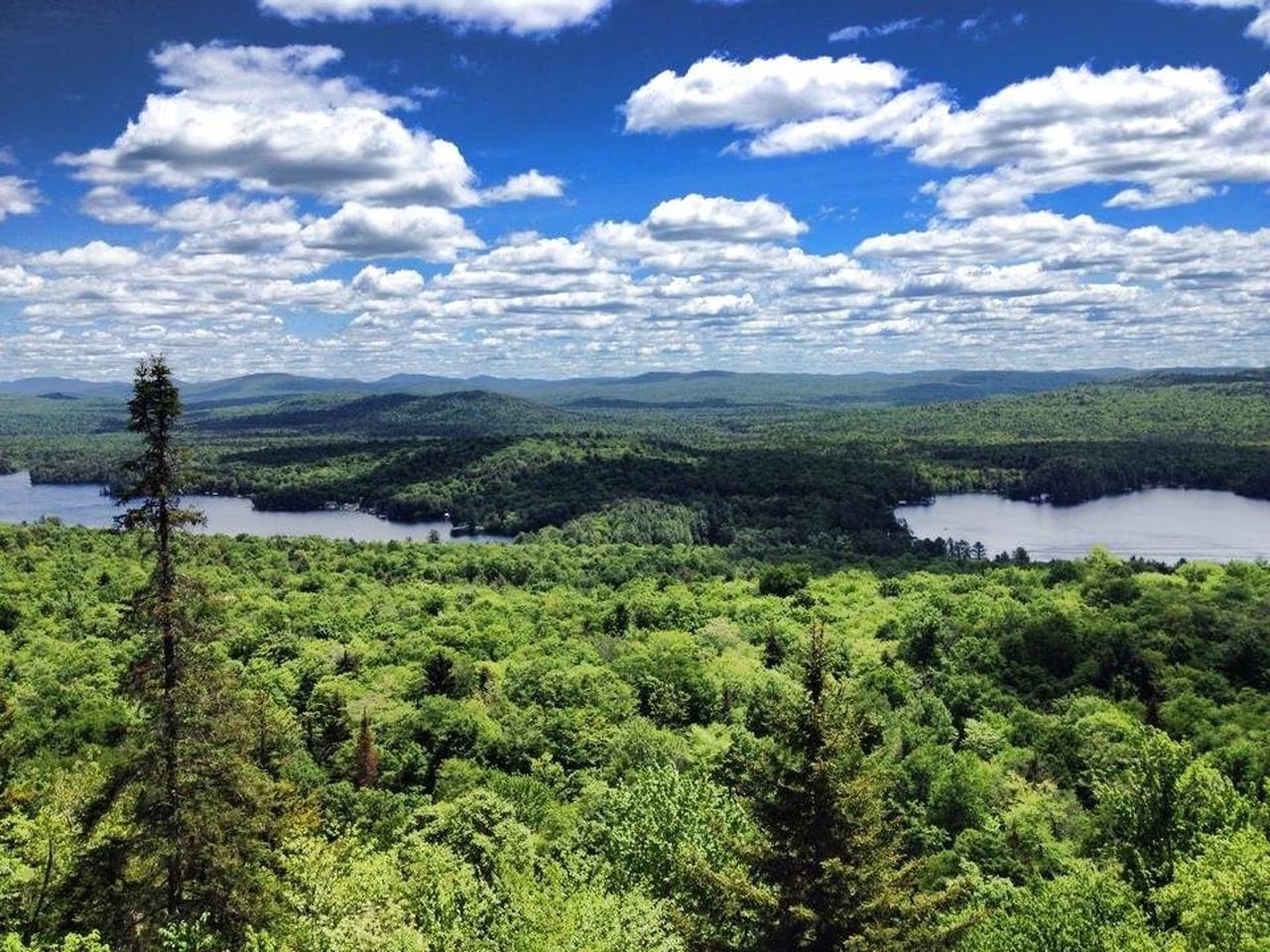 The 8 Best Hikes in New York's Catskills