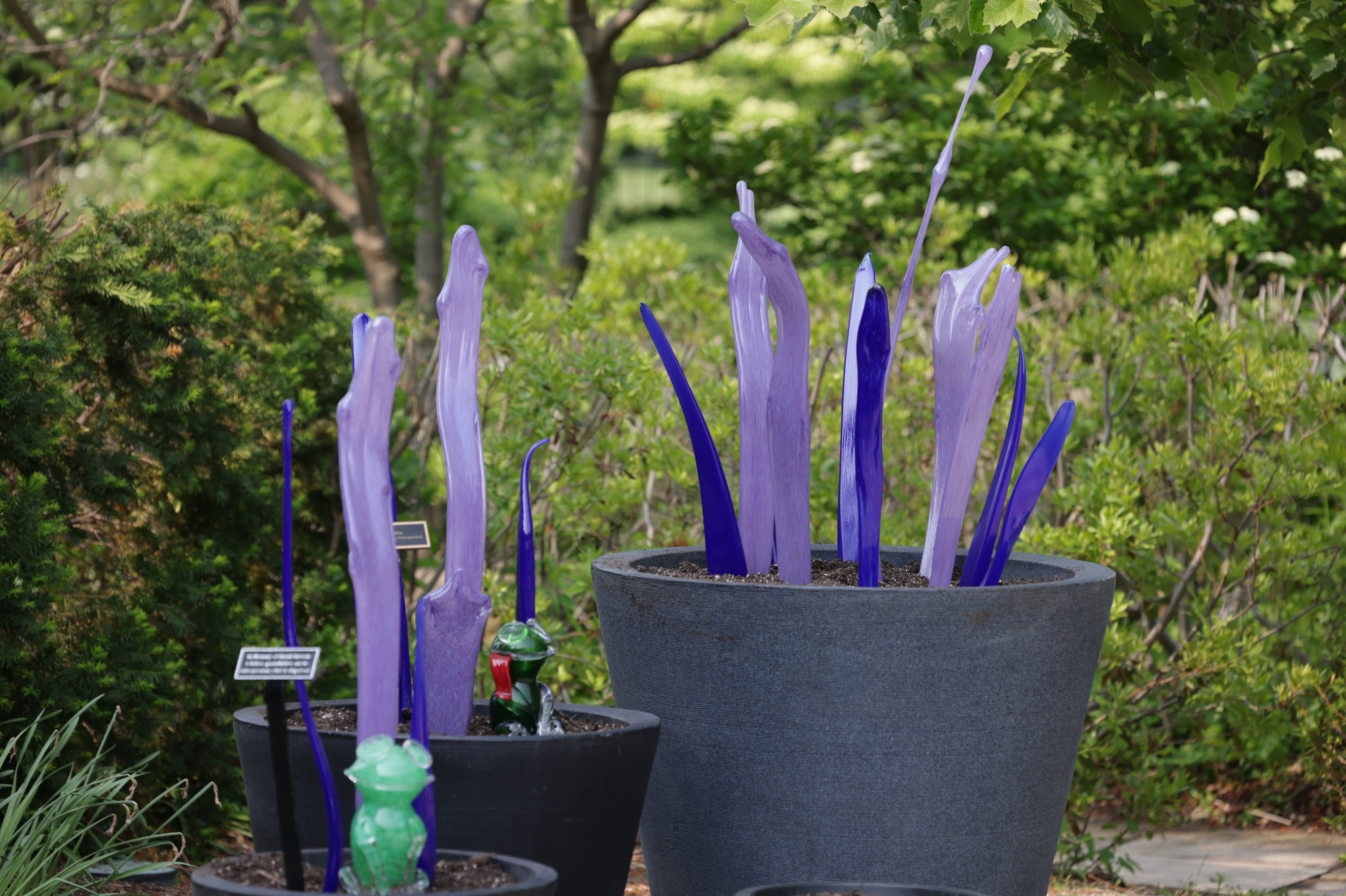 "BLOOM! Botanicals & Birdhouses" at the Cleveland Botanical Garden