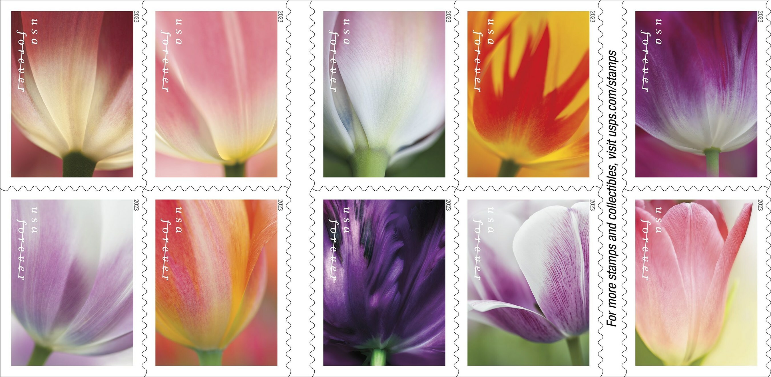Romance blooms on new Love Forever stamps - Newsroom 