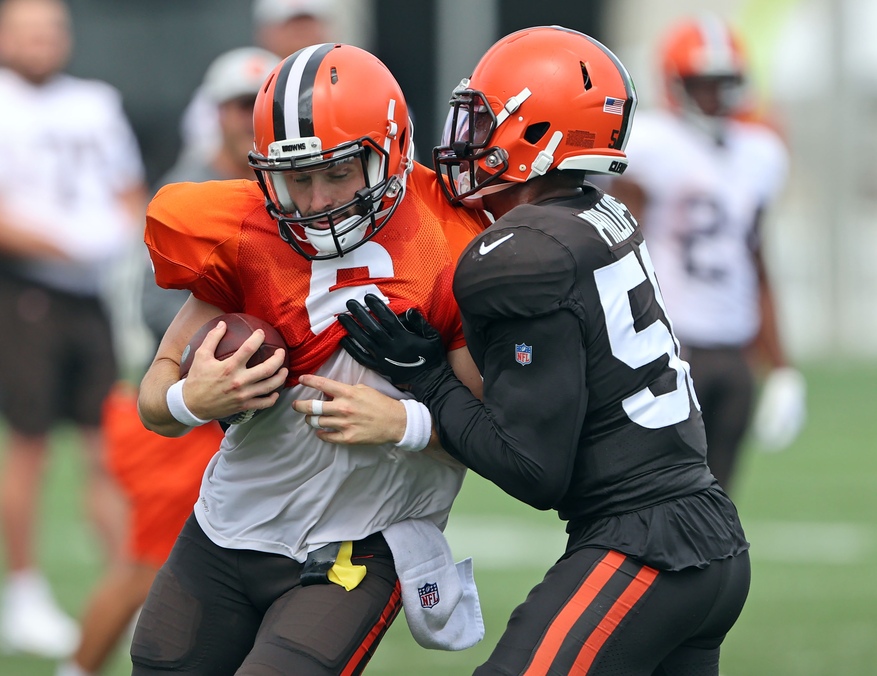 cleveland browns dri fit