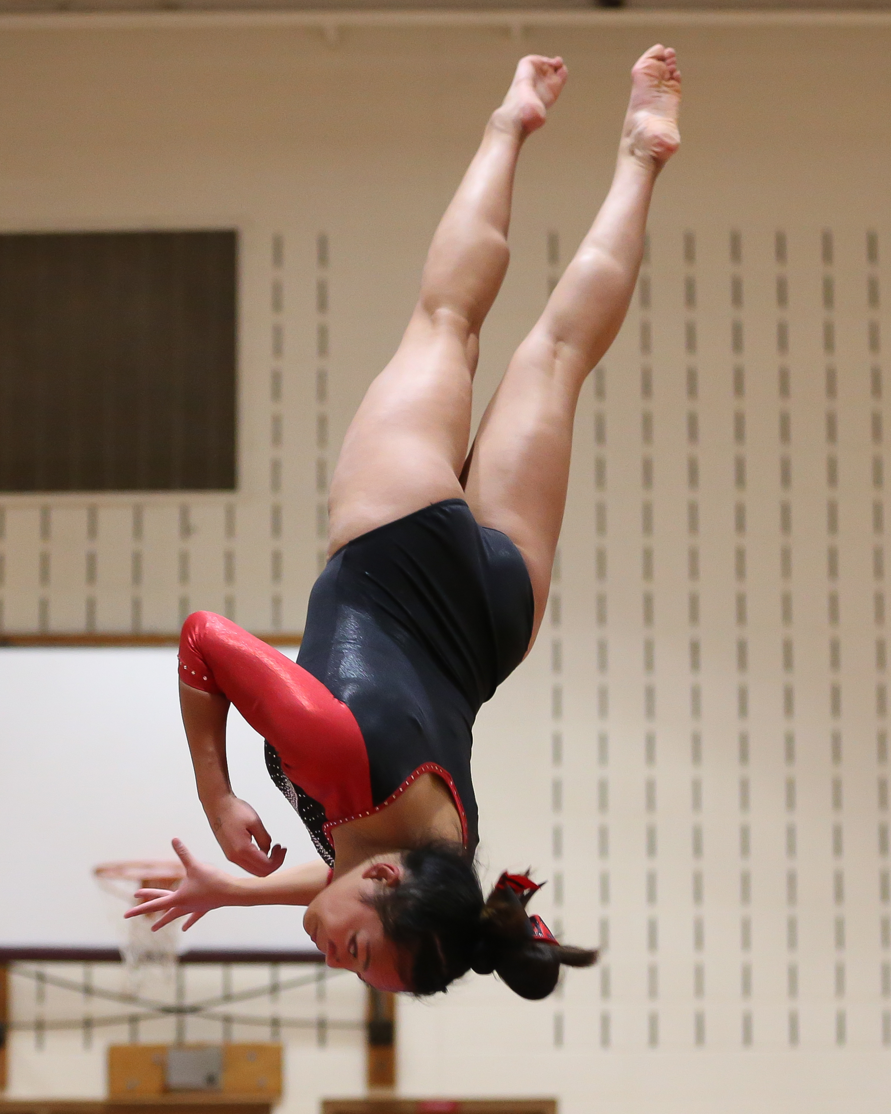 HHS gymnasts capture Skyland title – Central Jersey Archives