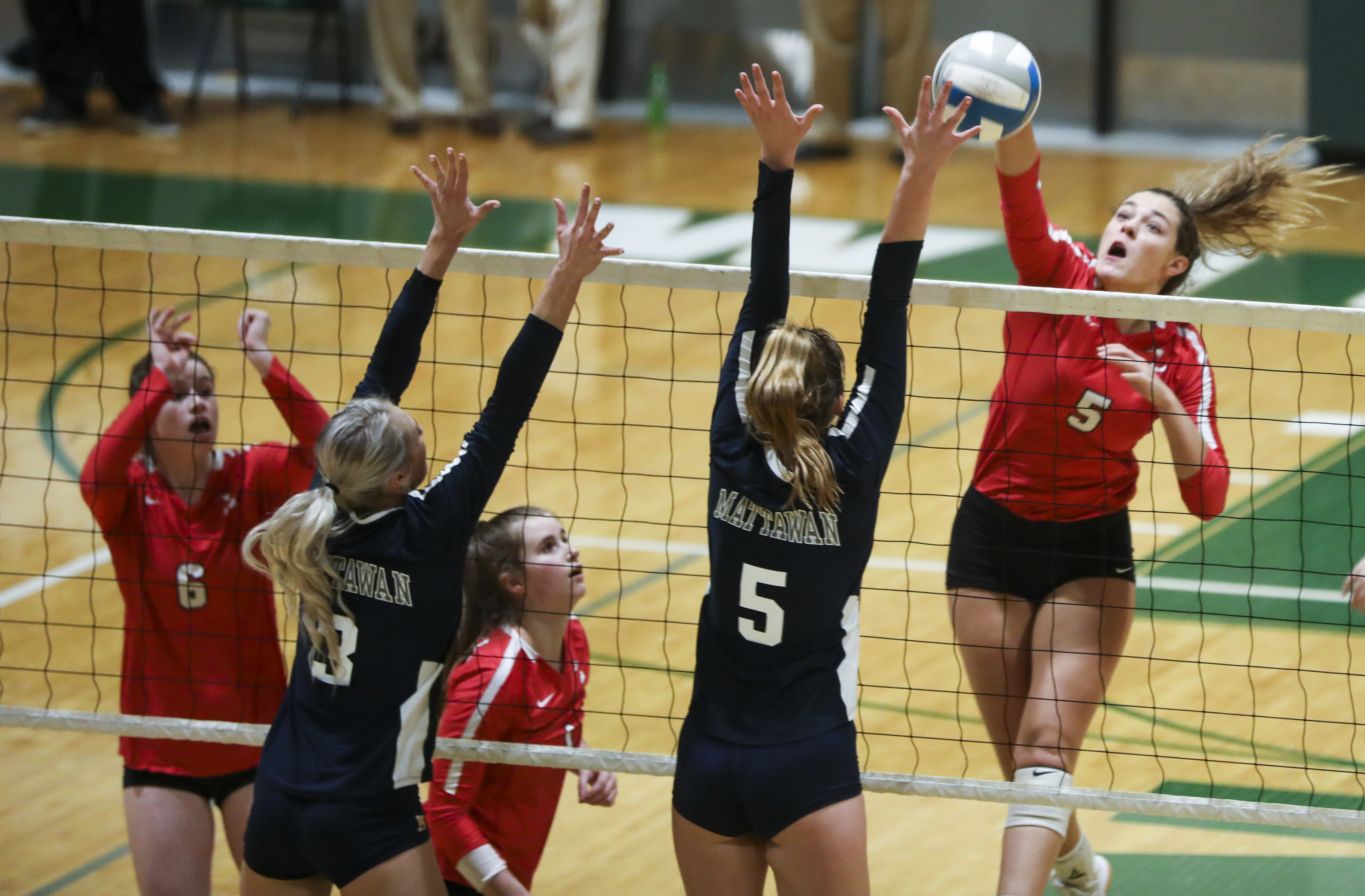 These Grand Rapids area volleyball players earned all region