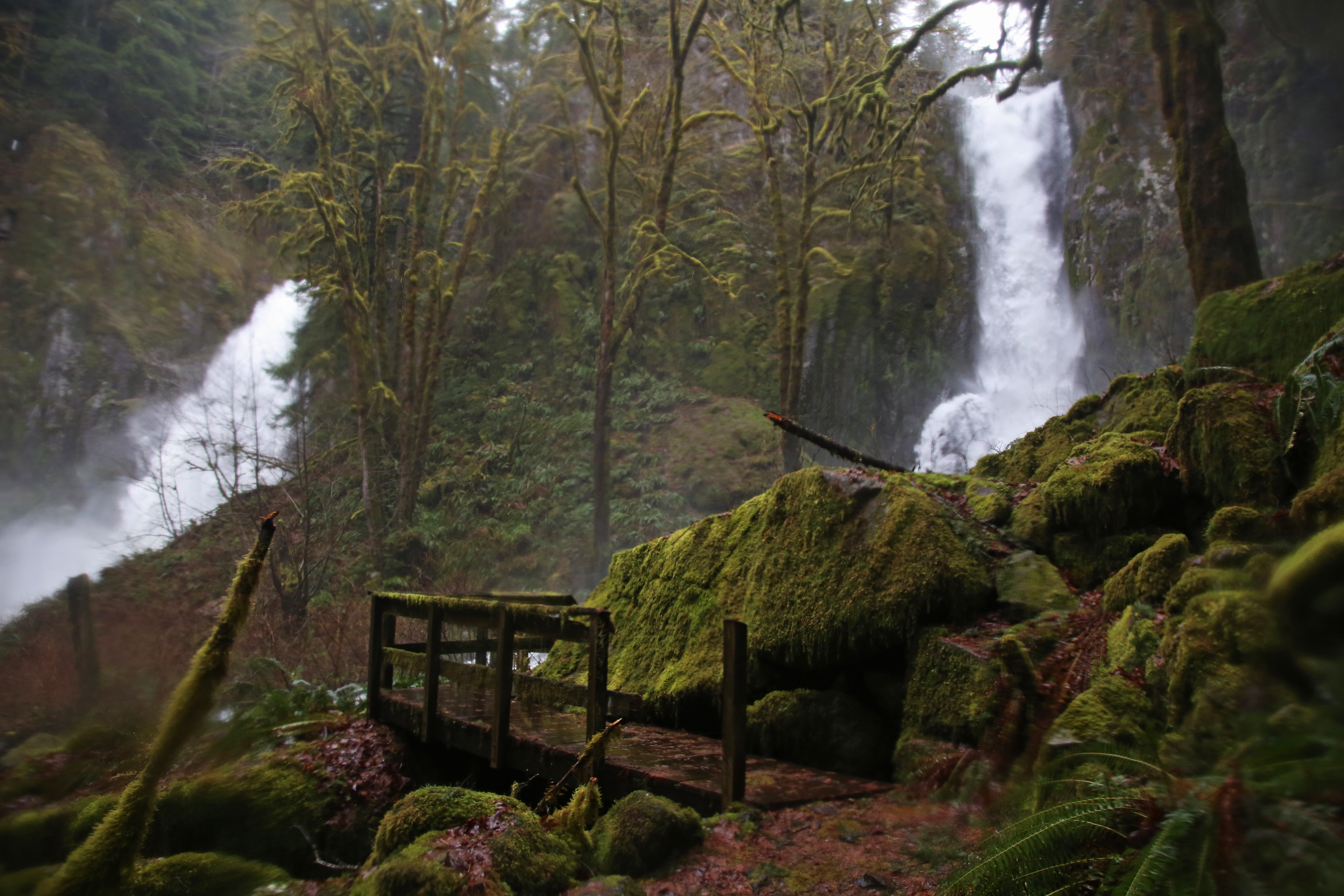 Hiking Trails  Eugene, Cascades & Oregon Coast