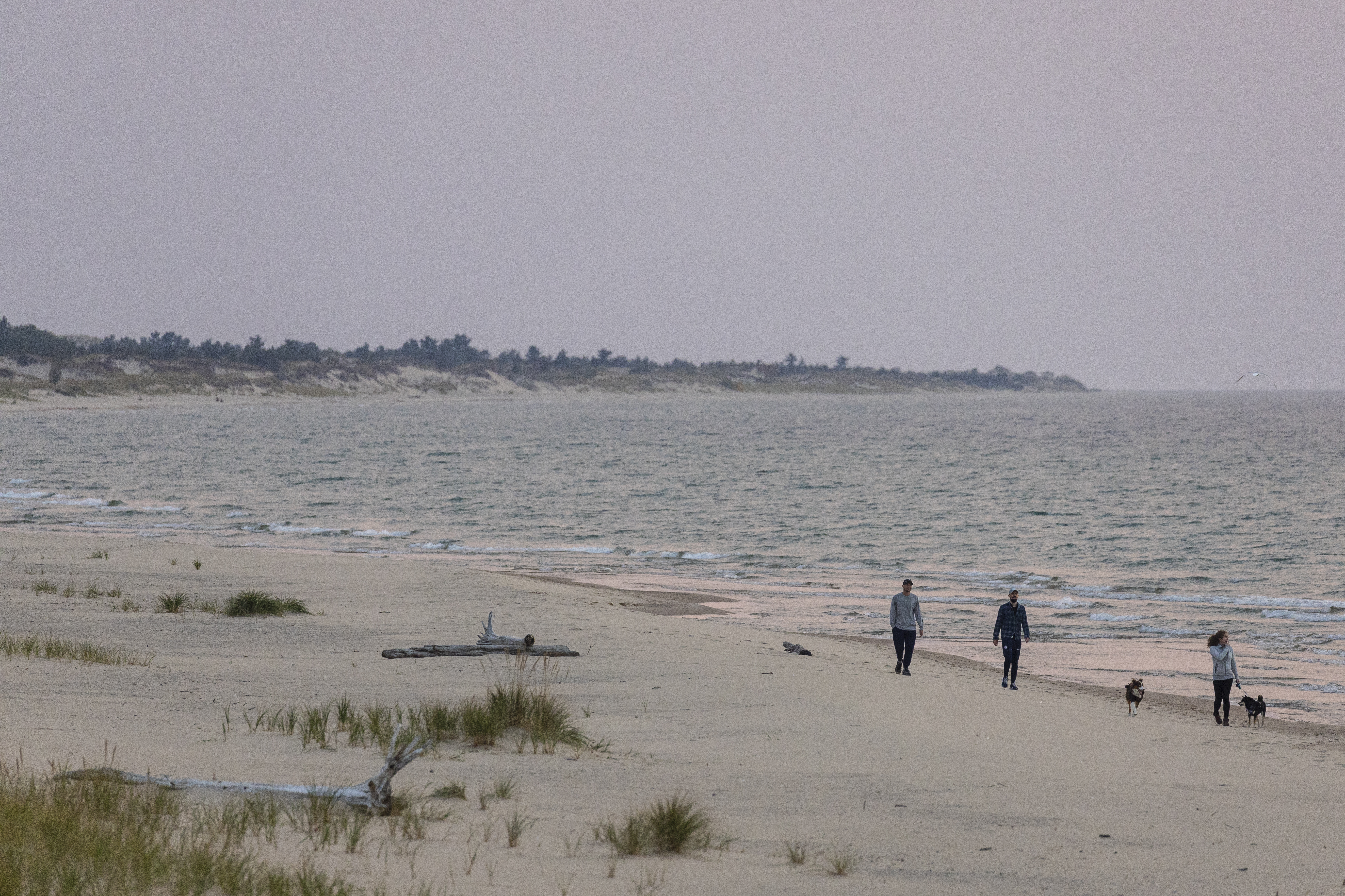 People walk along Lake Michigan at Nordhouse Dunes Wilderness Area in Mason County, Mich. on Friday, Oct. 11, 2024.  