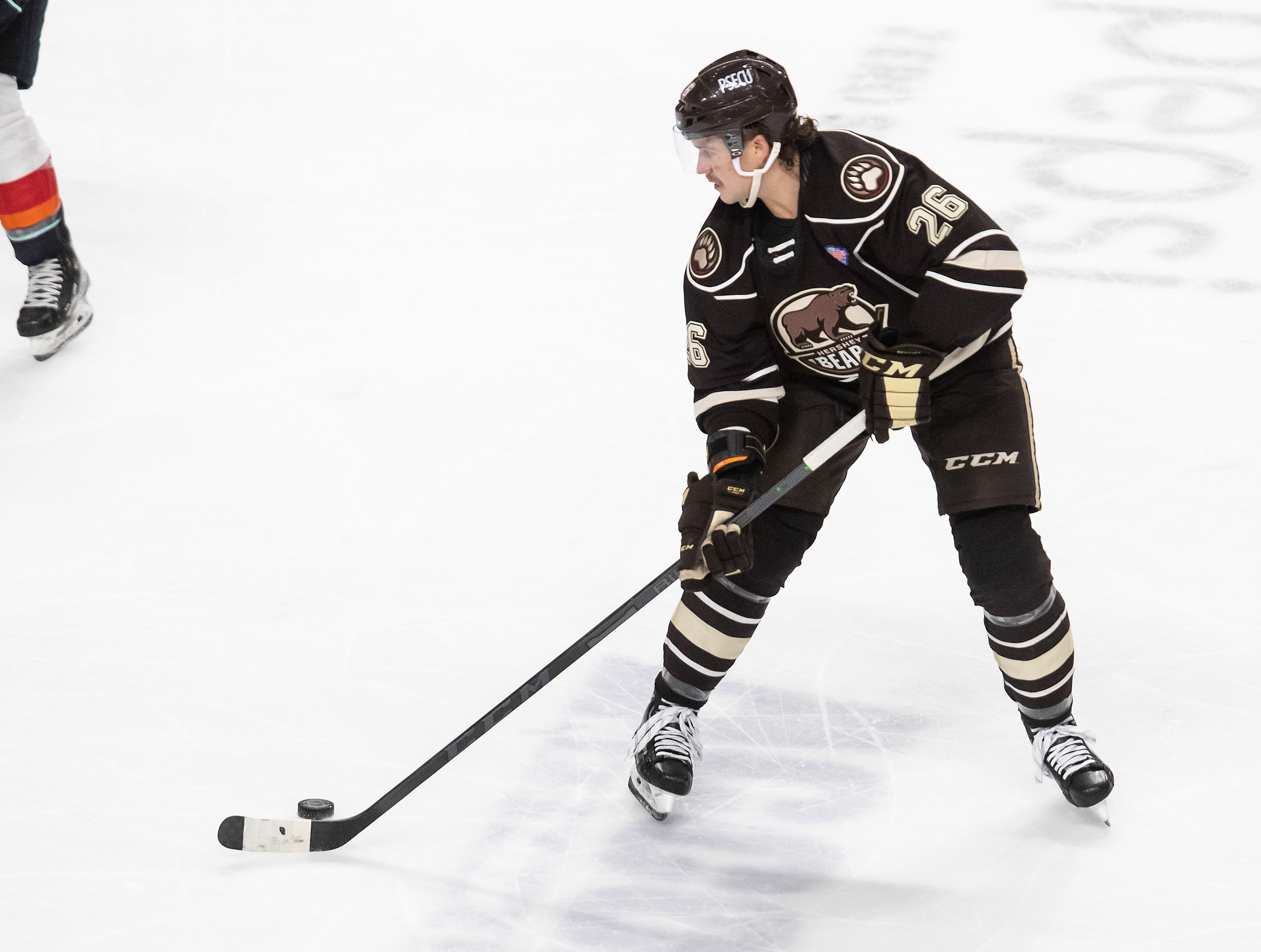 Stevenson Looking to Draw Into Bears' Crease – Hershey Bears Hockey Nation