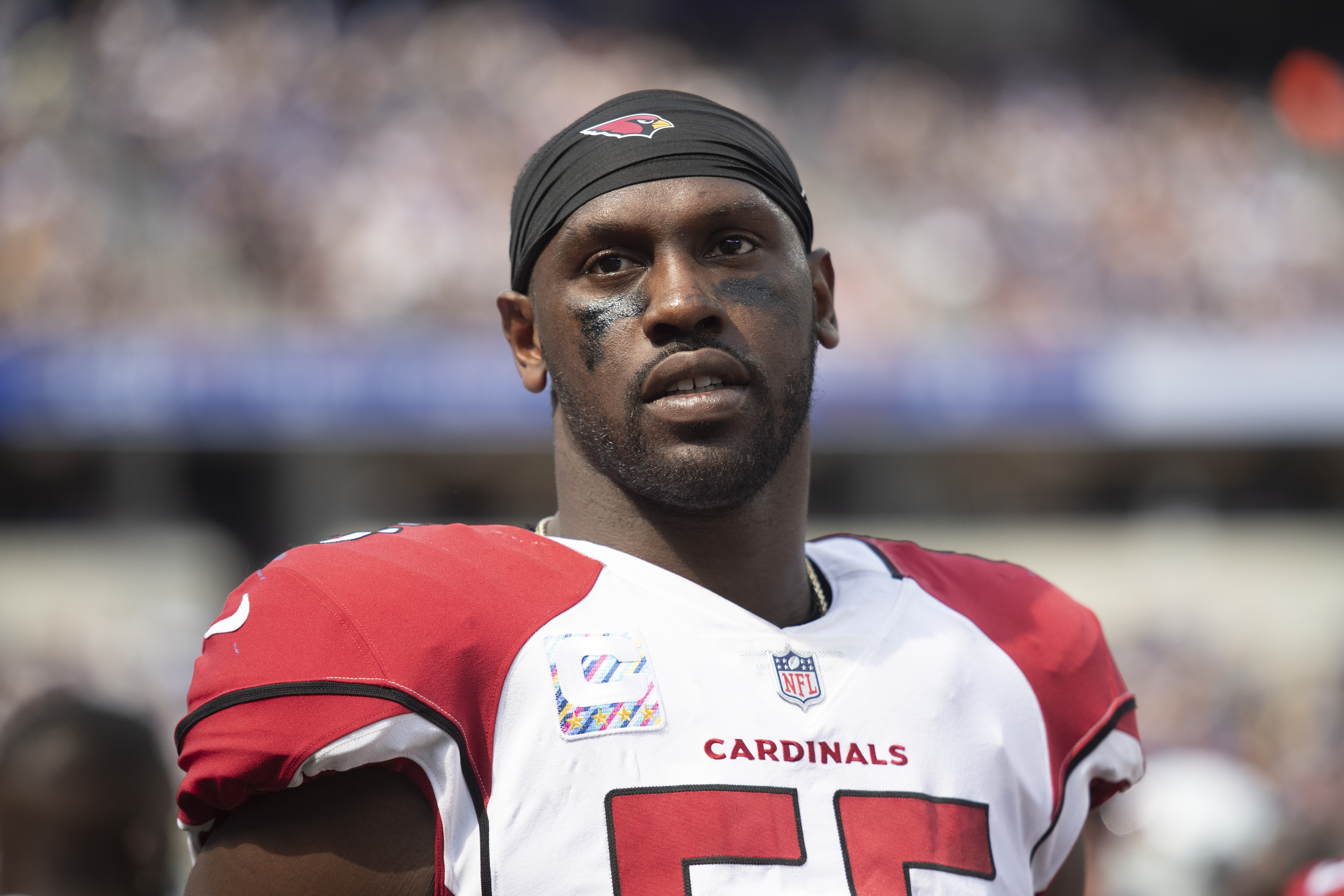 Chandler Jones breaks Arizona Cardinals sack record (Syracuse, CNY in the  NFL) 