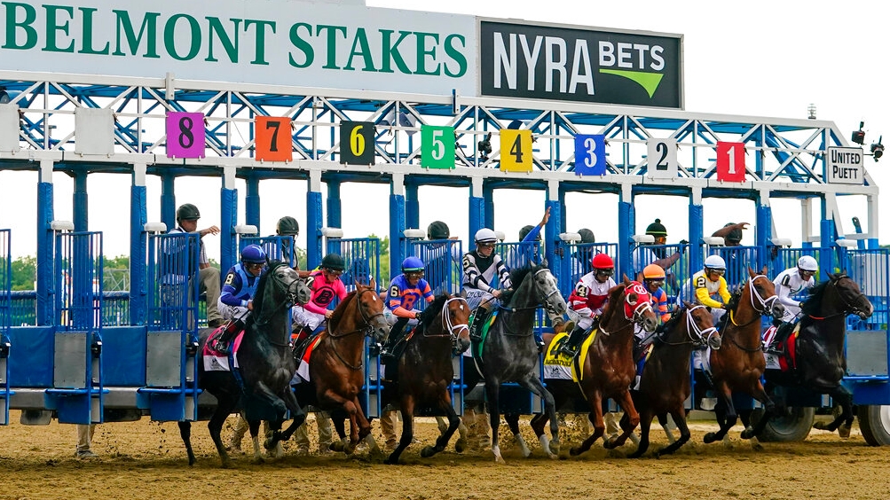 Belmont Stakes 2023 Horses Names