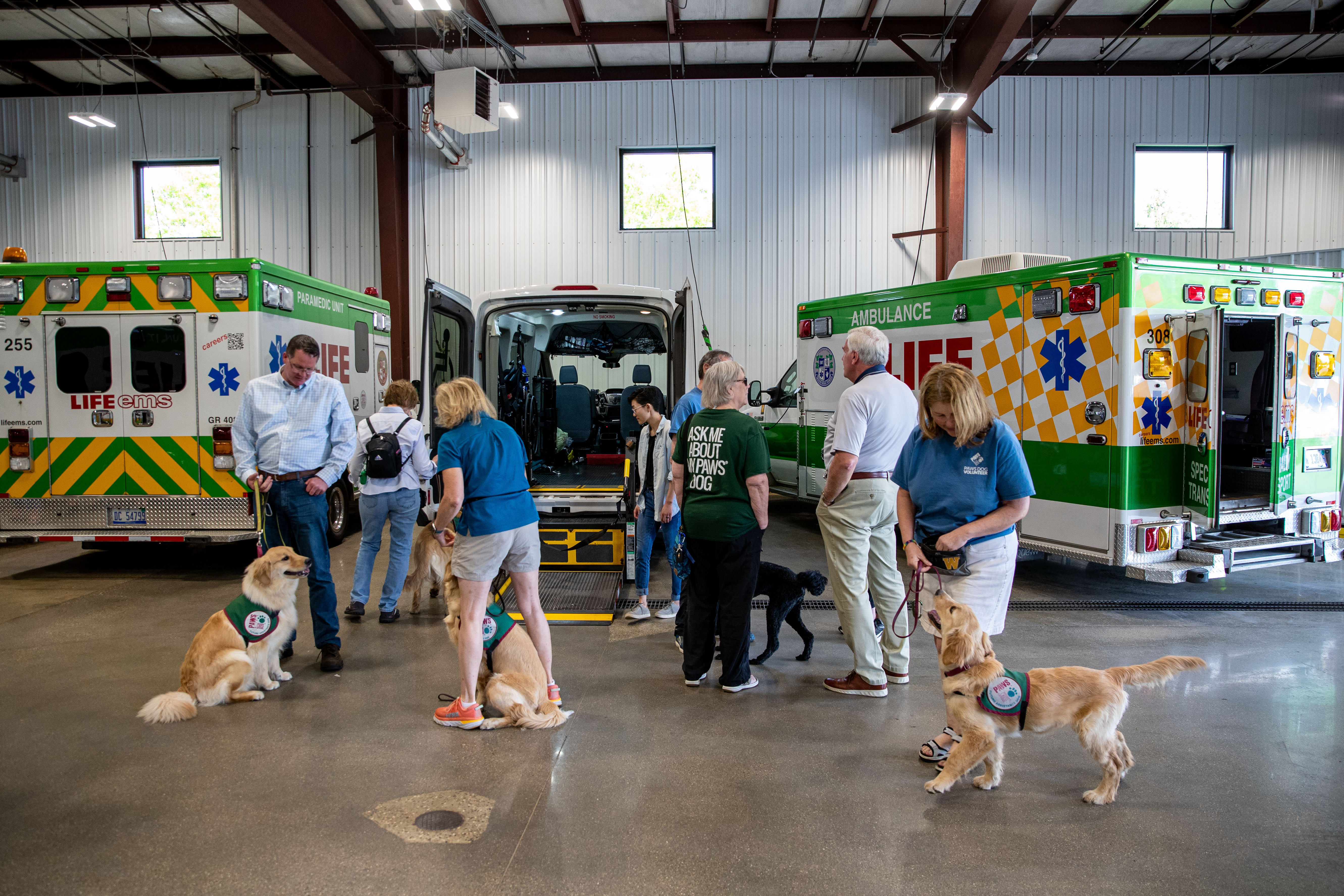 Ems Paws Paws With A Cause puppies train with paramedics - mlive.com