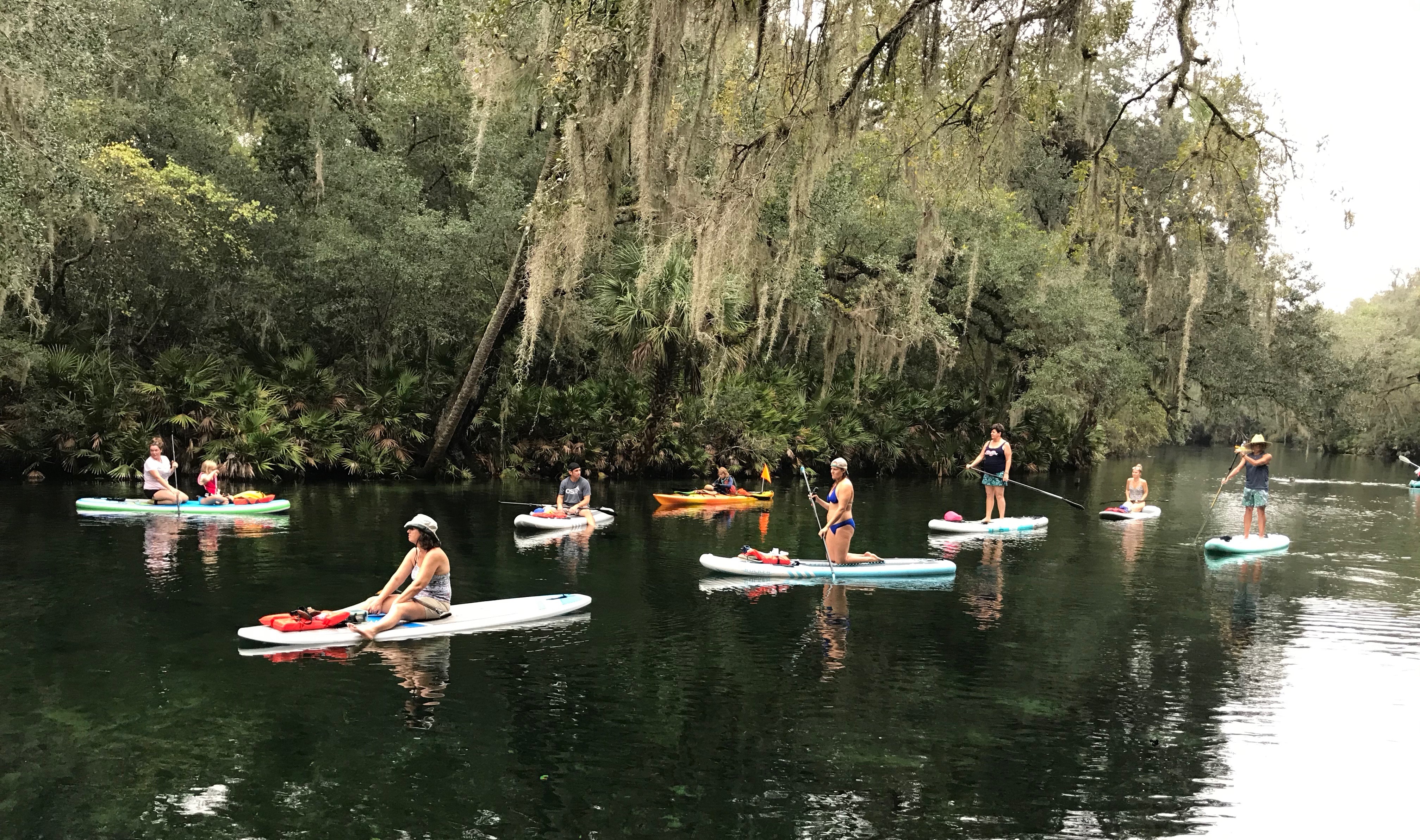 Blue Springs State Park: A Pristine Gem of Central Florida – Amanda Meets  World