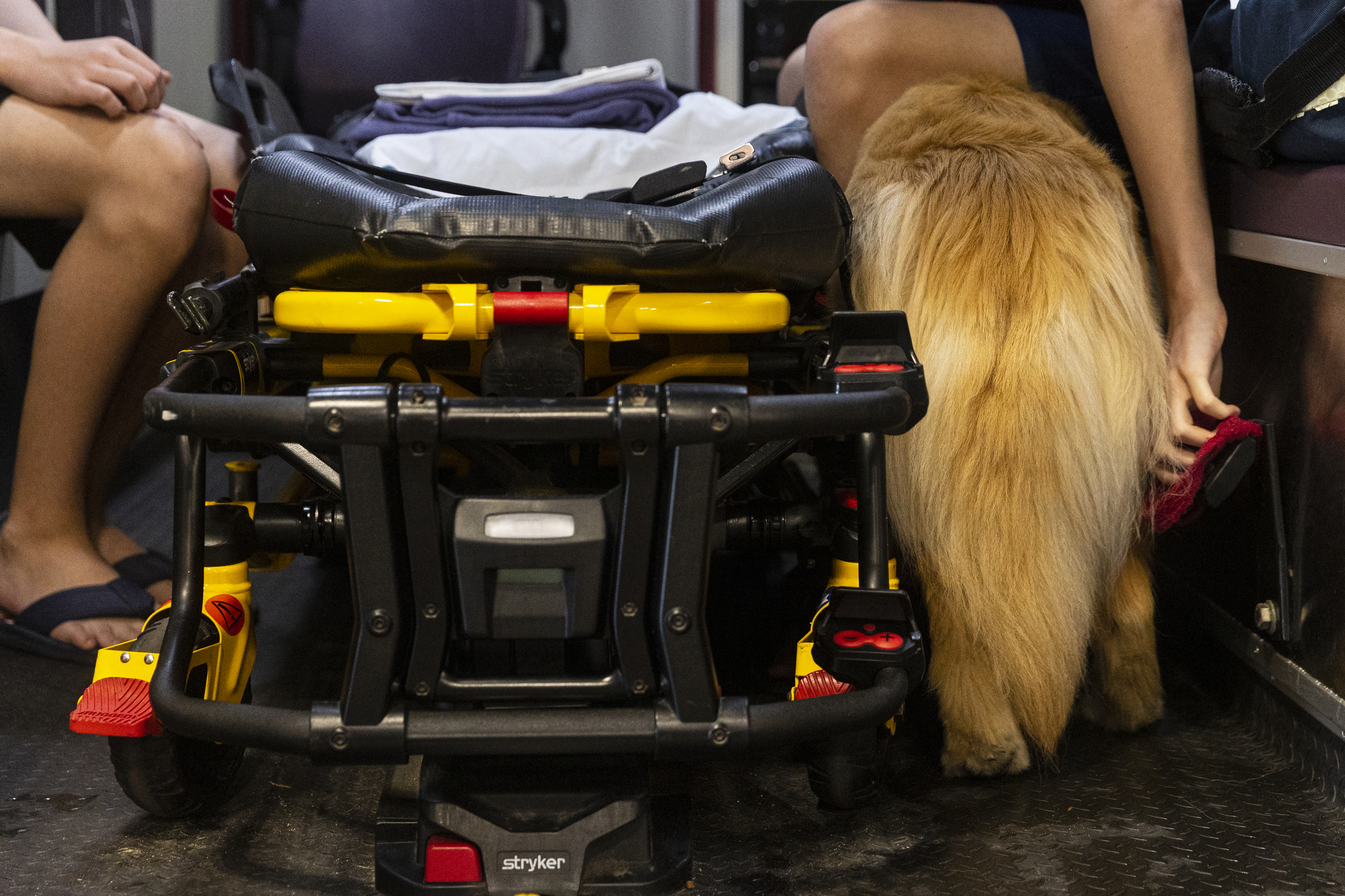 PAWS puppies get acclimated with ambulances - mlive.com