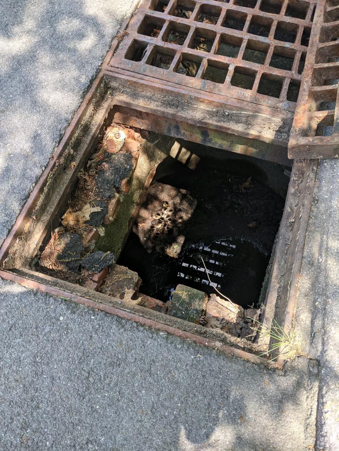 Officer, 2 children help rescue 15 baby ducks from storm drain in ...
