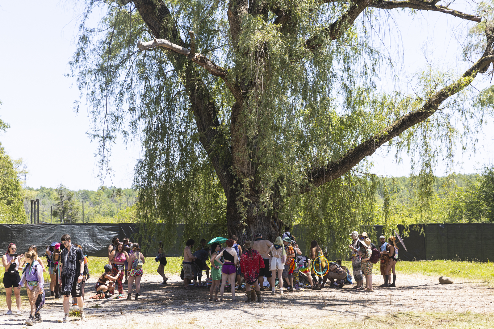 The Giving Tree Festival 2022