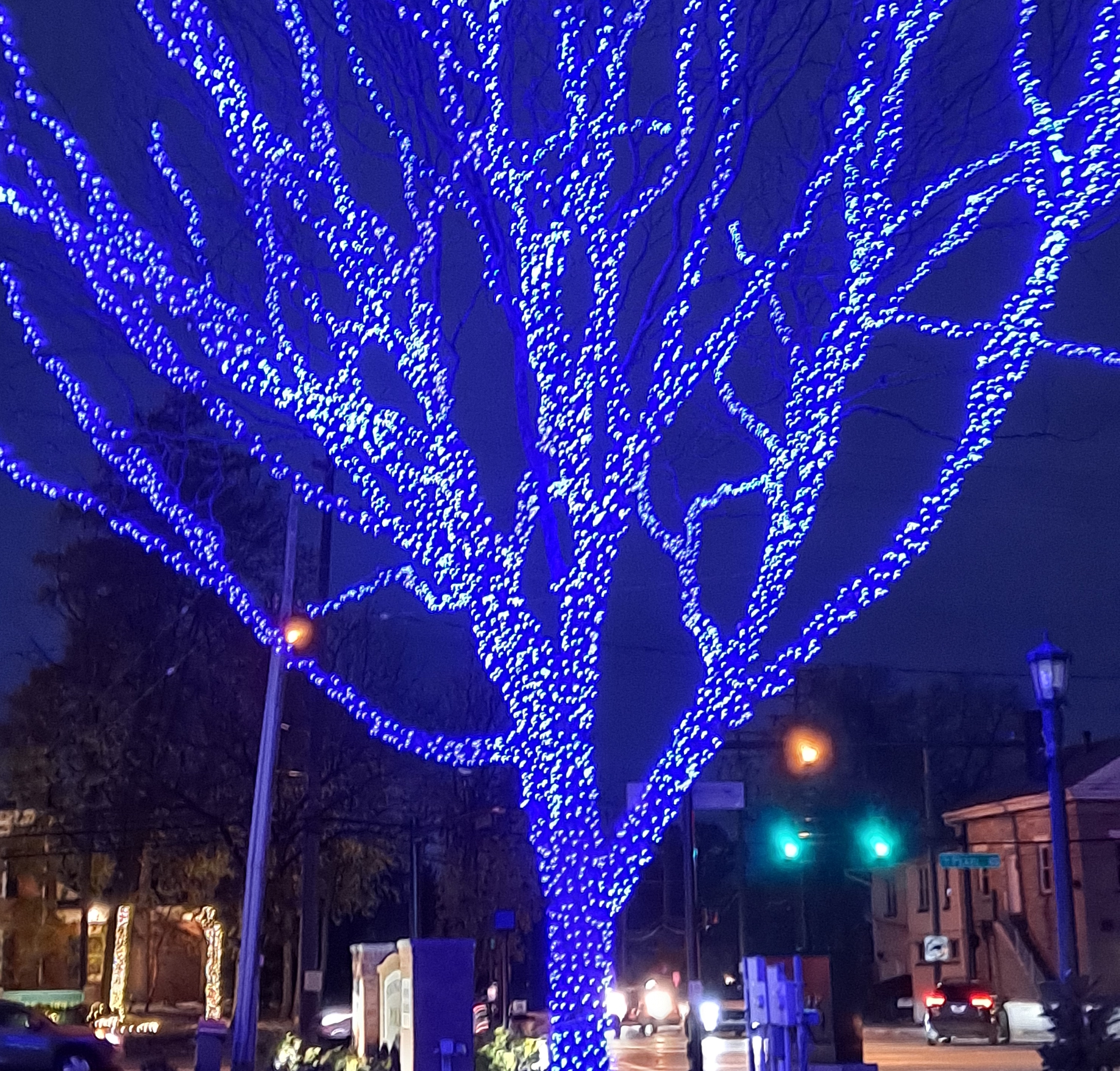 winter wonderland rope lights