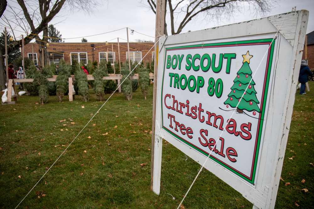 Mechanicsburg Scout troop Christmas Tree sale hits 40 years
