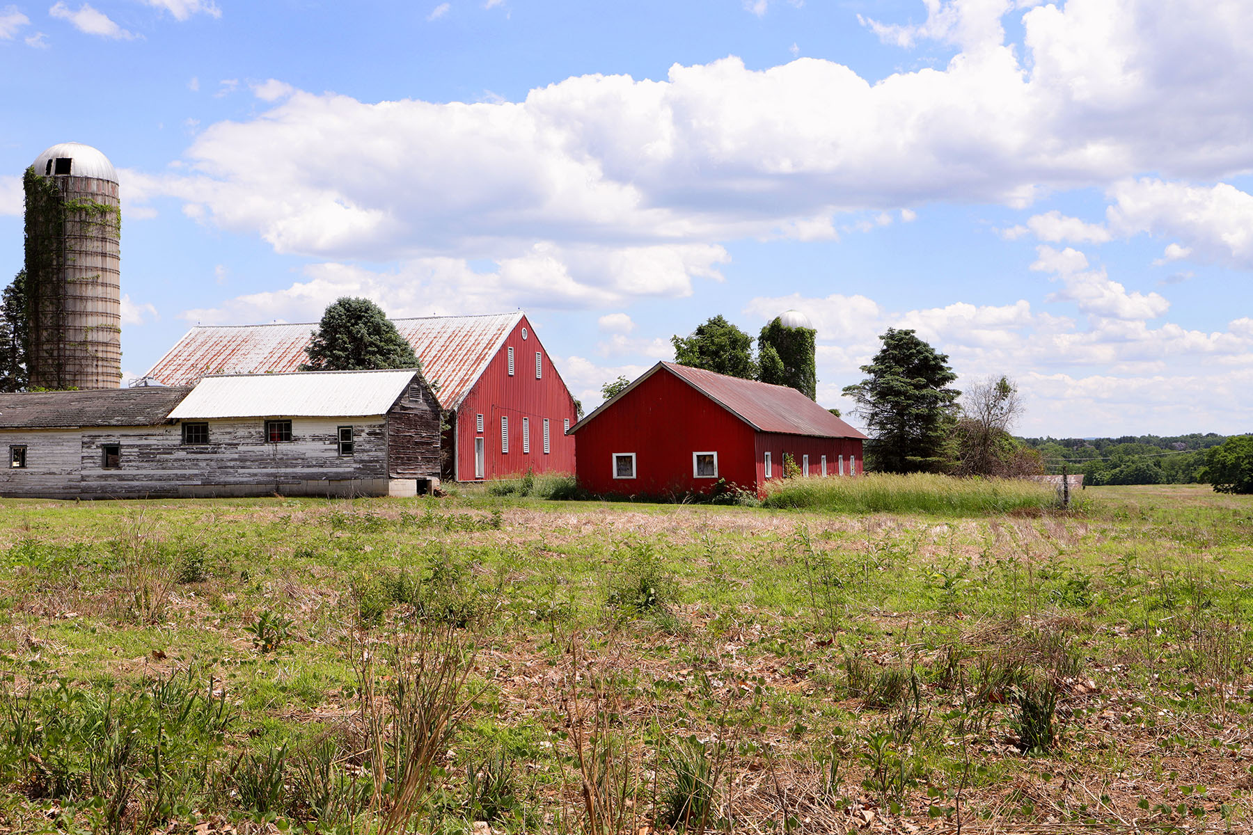 Pa. preservation program adds 29 farms, 2,044 acres in 15 counties to list