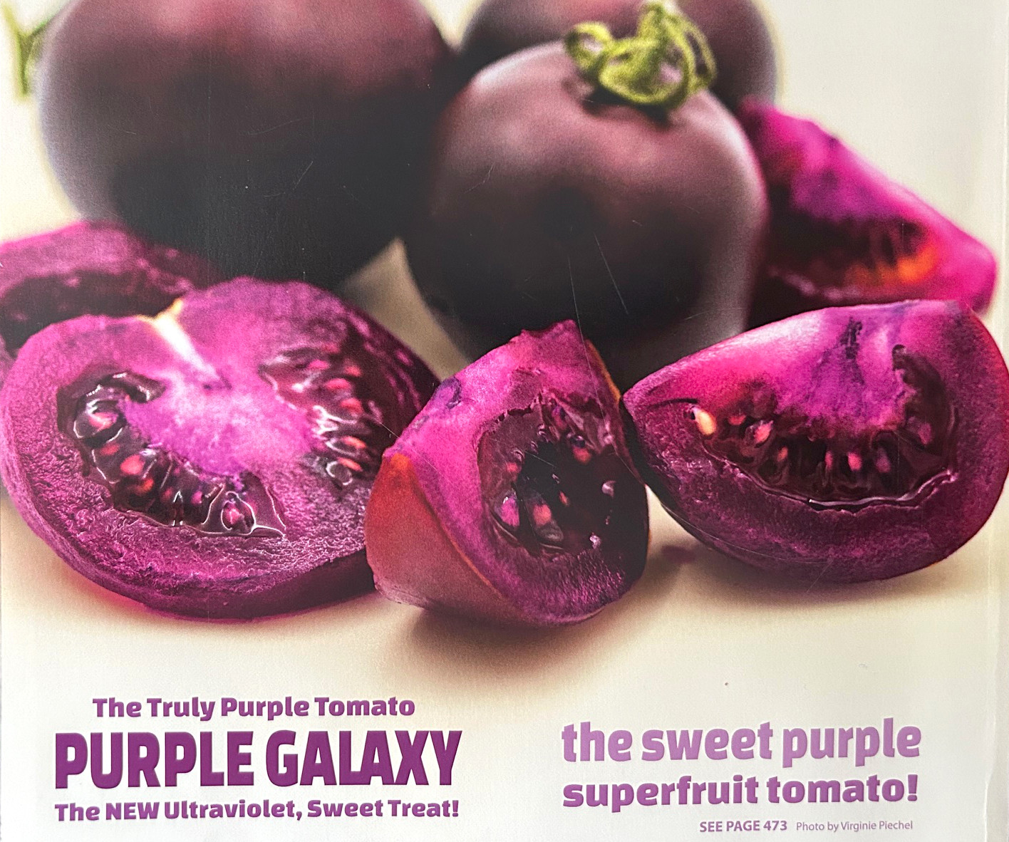Illegal and frenzied sales: The saga of the purple tomato's first year -  pennlive.com