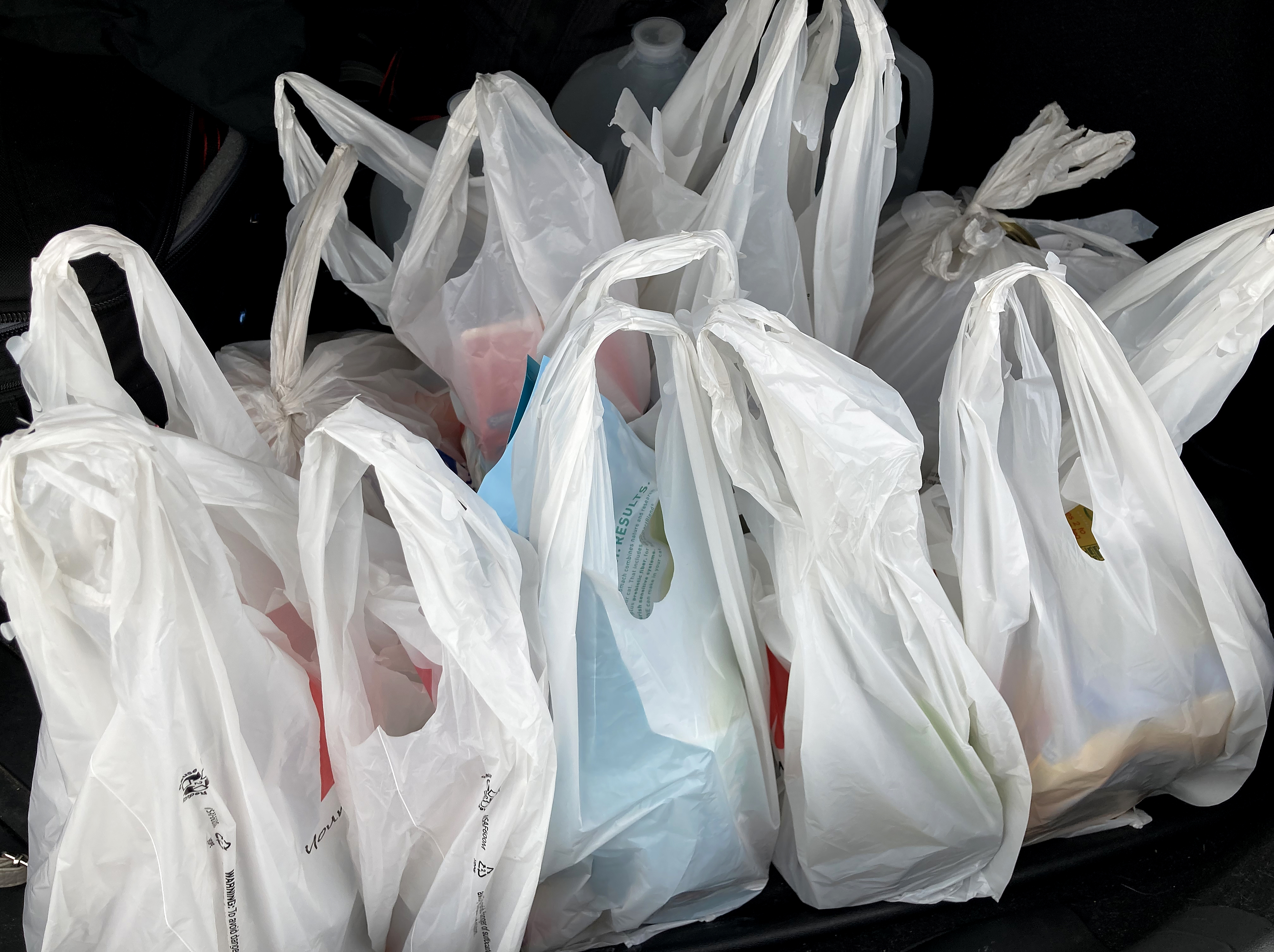 Madison will ban single use plastic bags starting Sunday