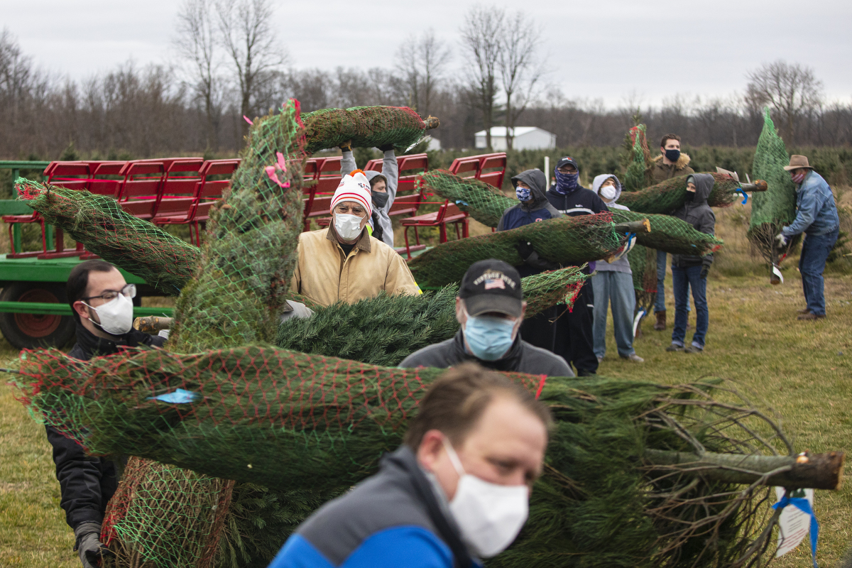 Volunteers gather to load Christmas trees for 'Trees for Troops