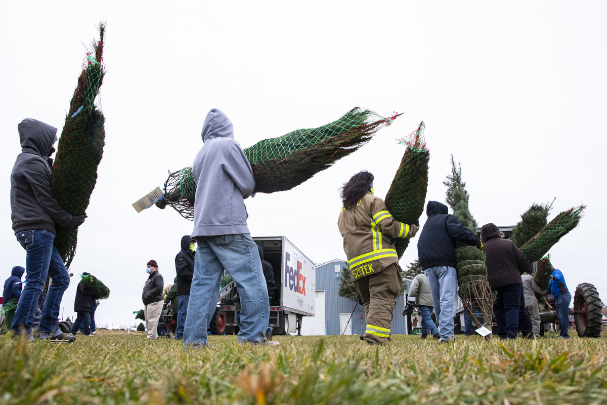 Volunteers gather to load Christmas trees for 'Trees for Troops