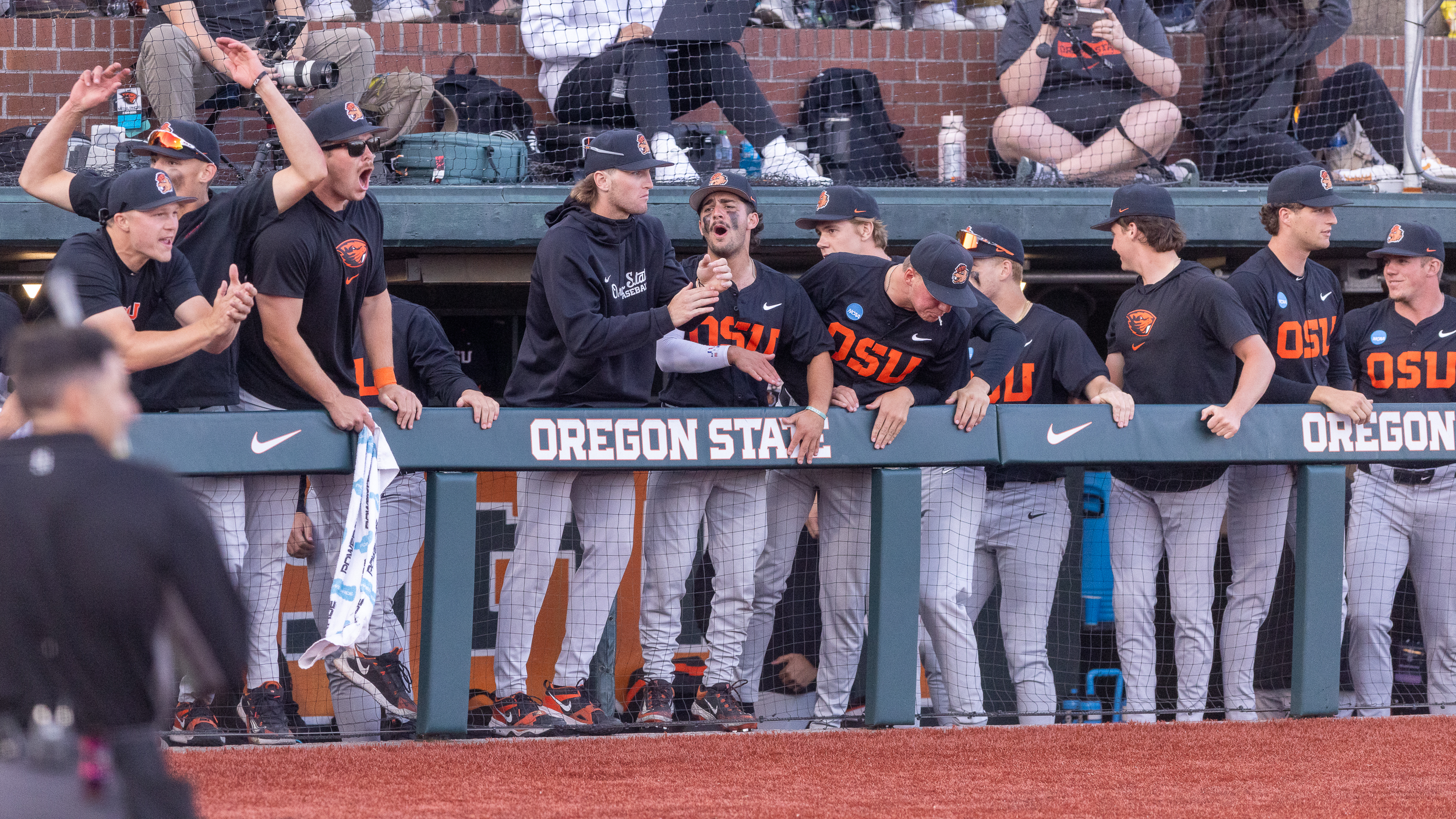 Oregon State Beavers baseball vs. USC — Corvallis Regional - oregonlive.com