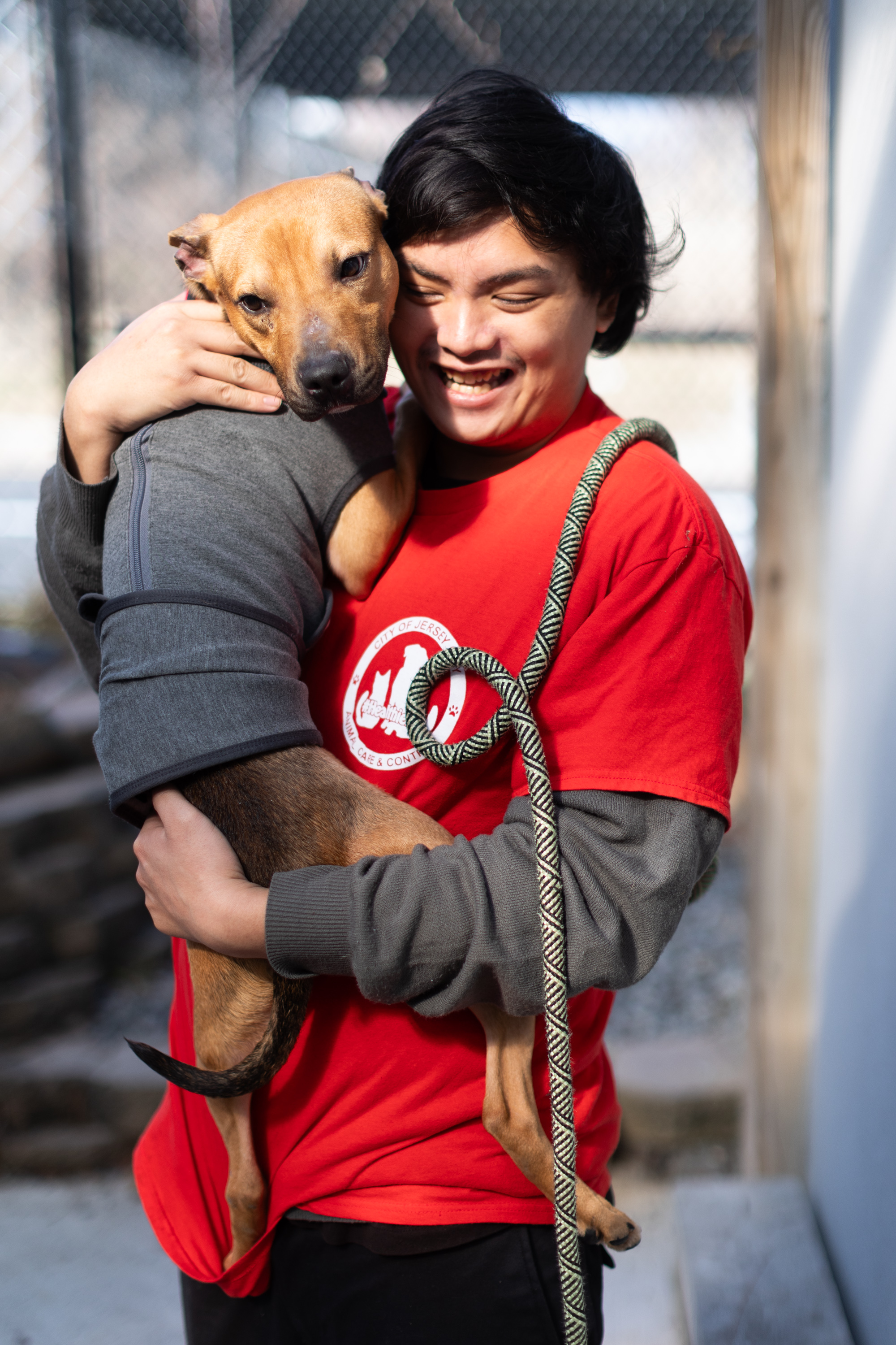 Jersey City Animal Shelter - nj.com