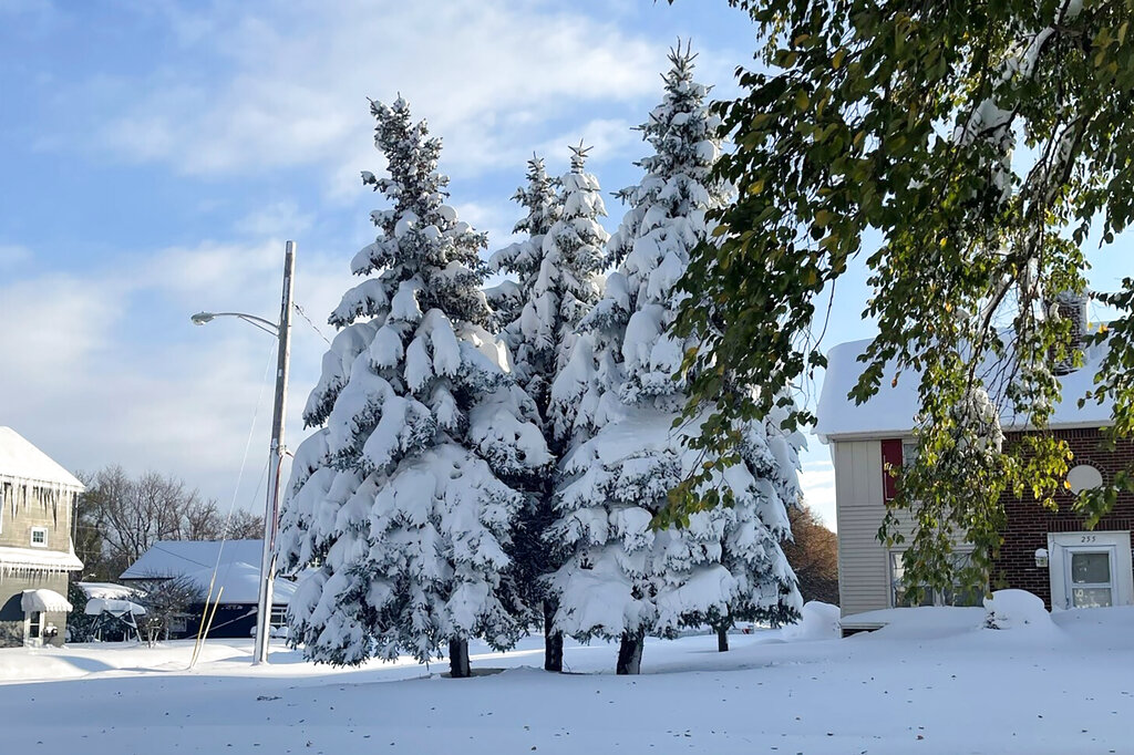 NFL takes drastic action: Browns-Bills moved to Detroit due to epic  snowstorm set to hit Buffalo 