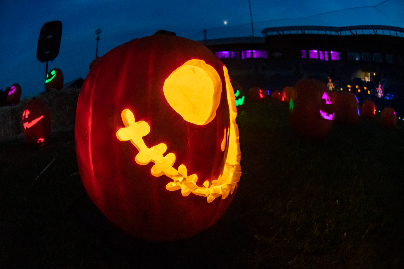 Hyperlocal JackOLantern