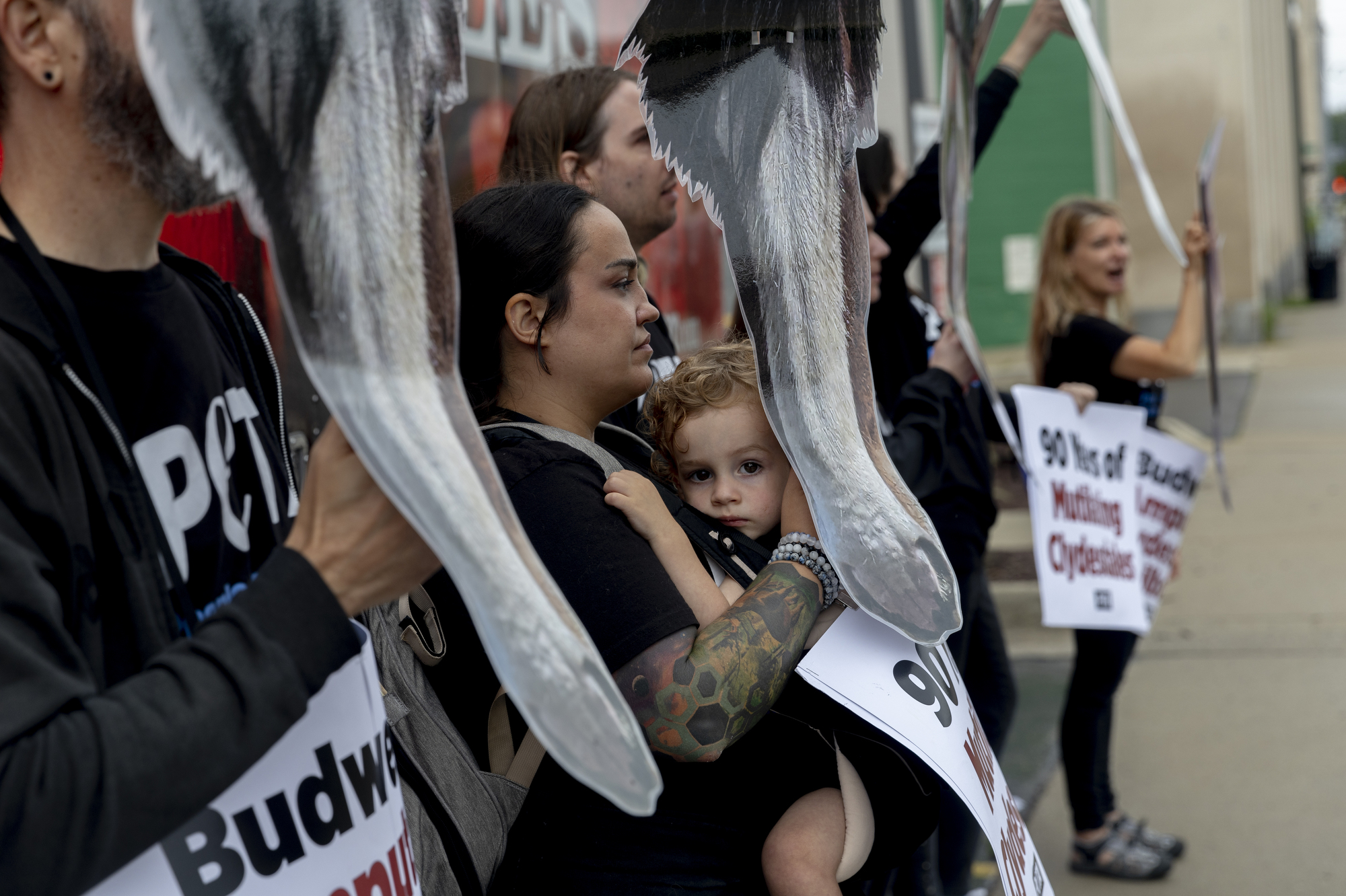 PETA protests Budweiser in Michigan for animal abuse, mutilation of ...