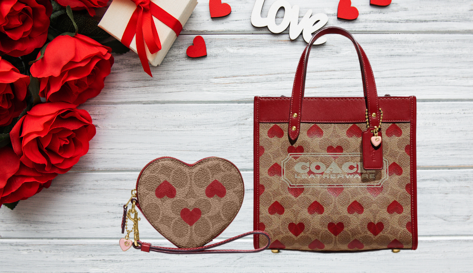 Coach Valentine's Day collection 2023: The best handbag, wallet, jewelry  gifts to shop online 