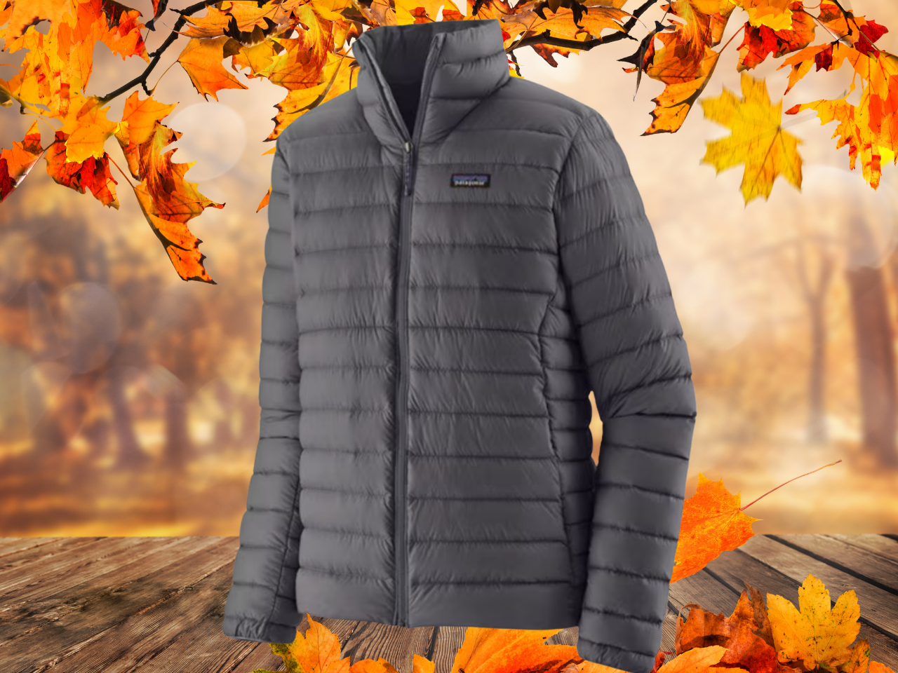 REI offers rare discount on Patagonia Down Sweater - cleveland.com