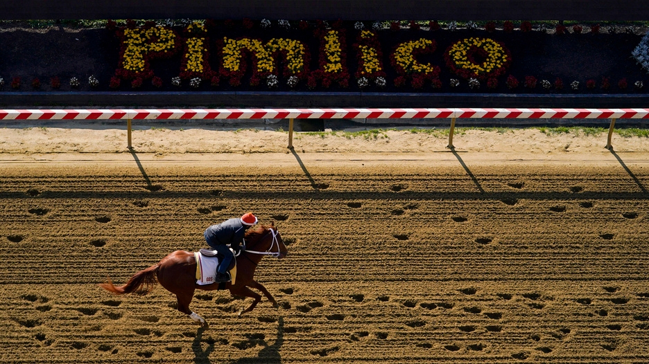 Preakness 2023: How to watch, odds, post position, streaming, and