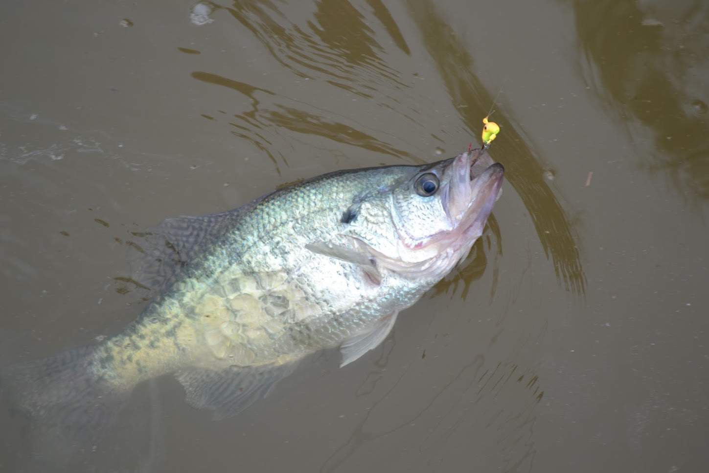 Friday fishing report for Alabama 