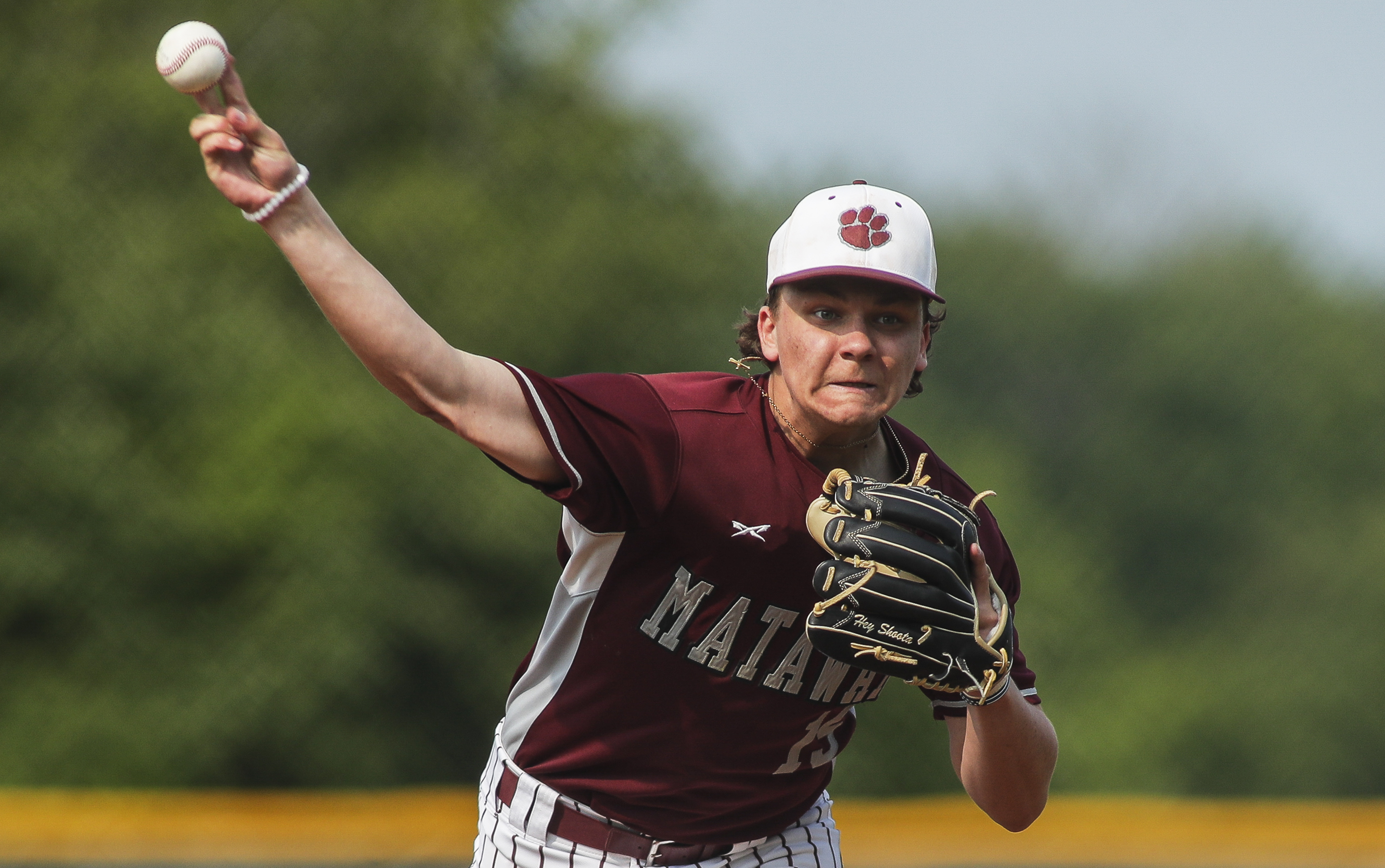 Hopewell Valley 15U Travel Baseball team wins USABL Central