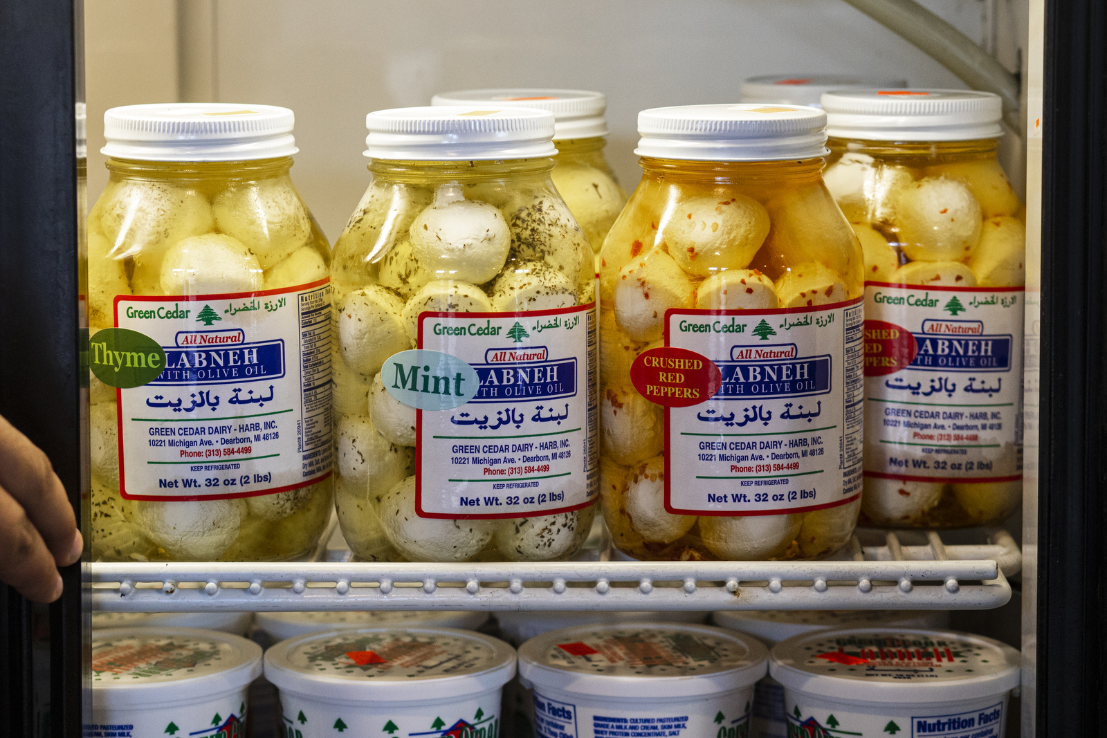 Kalamazoo local eats Shawarma King on Drake Rd.