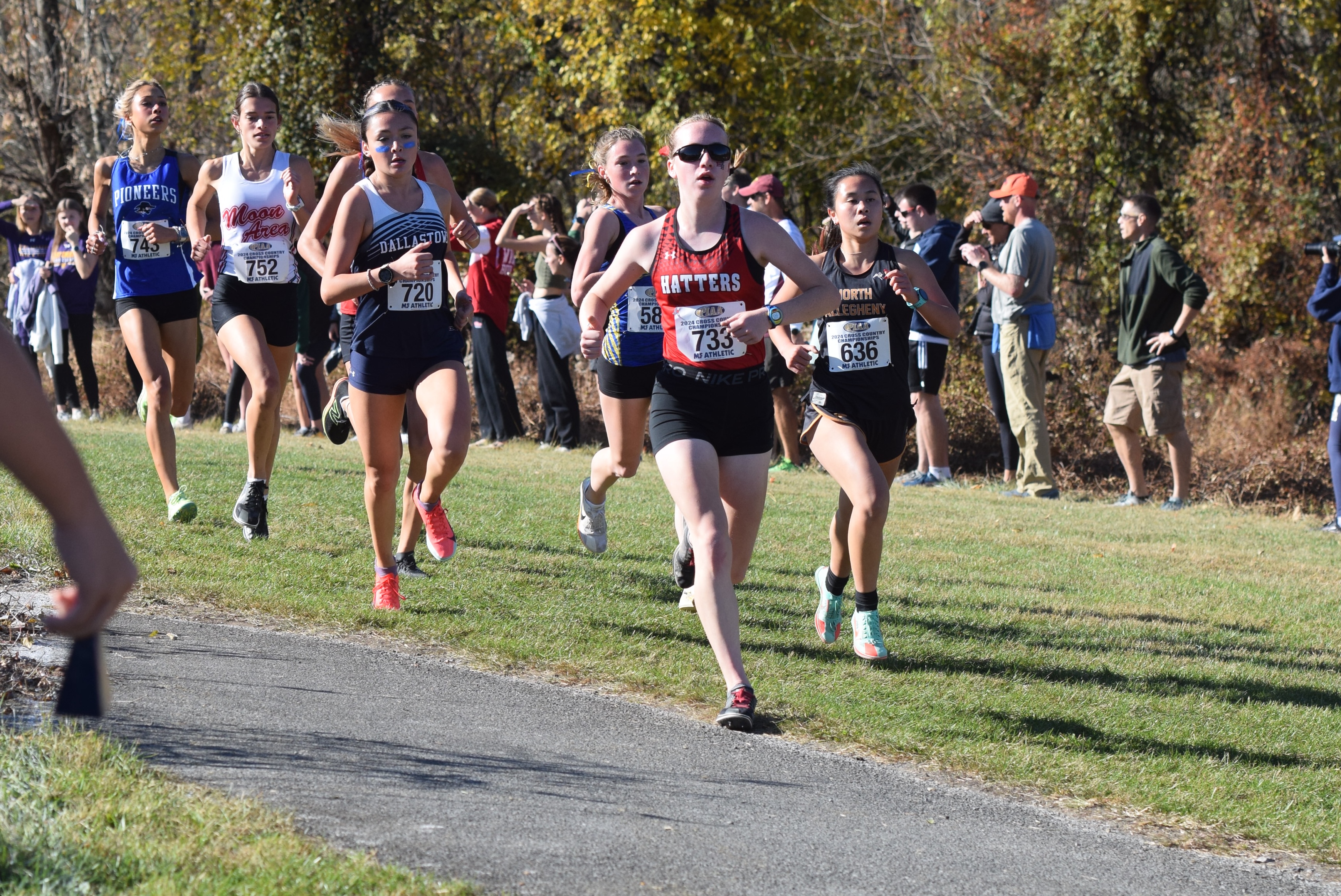 PIAA Cross Country Championships Nov. 2 2024 - pennlive.com