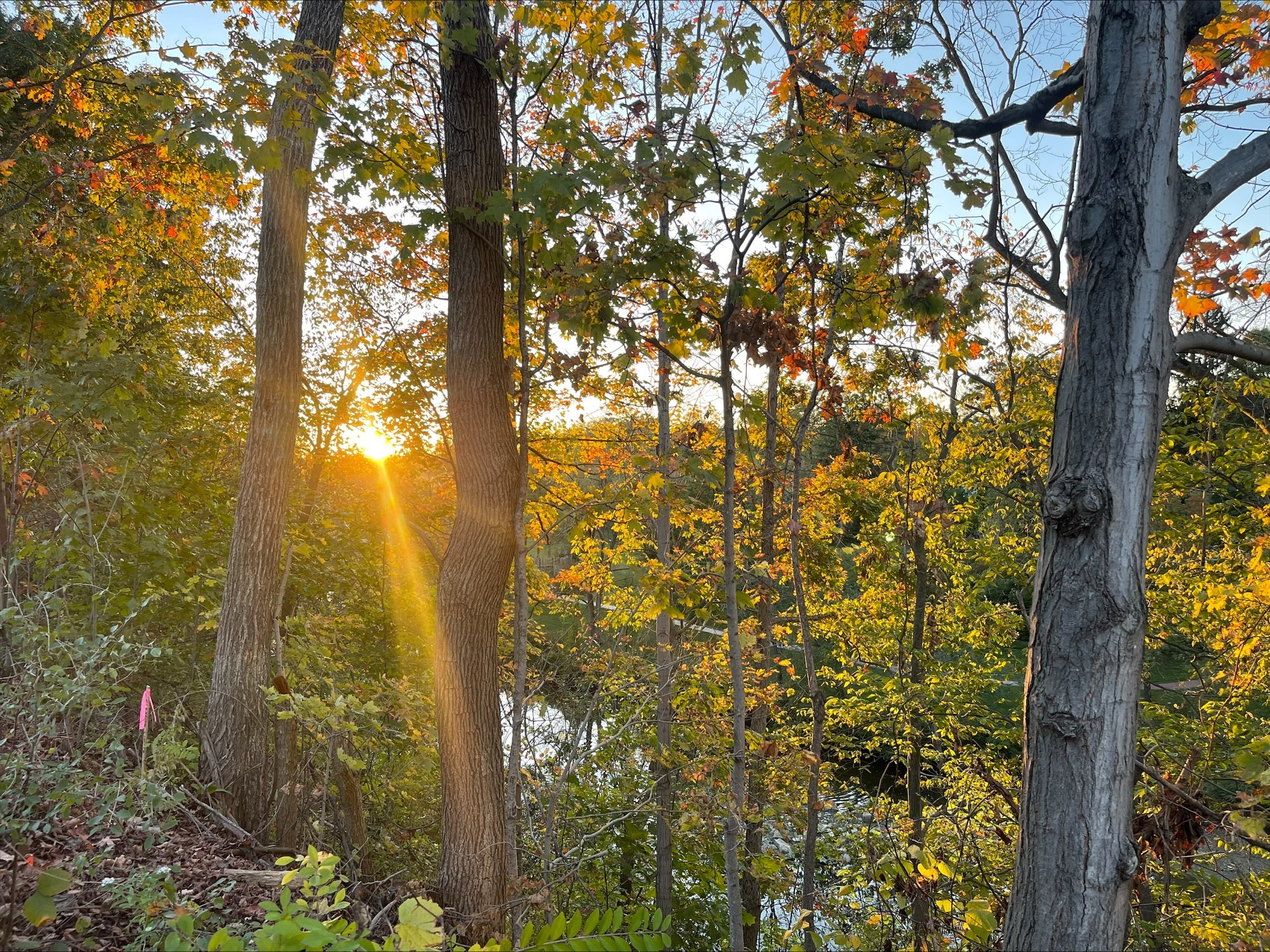 Fall colors begin to show around Northeast Ohio, October 15, 2025 ...